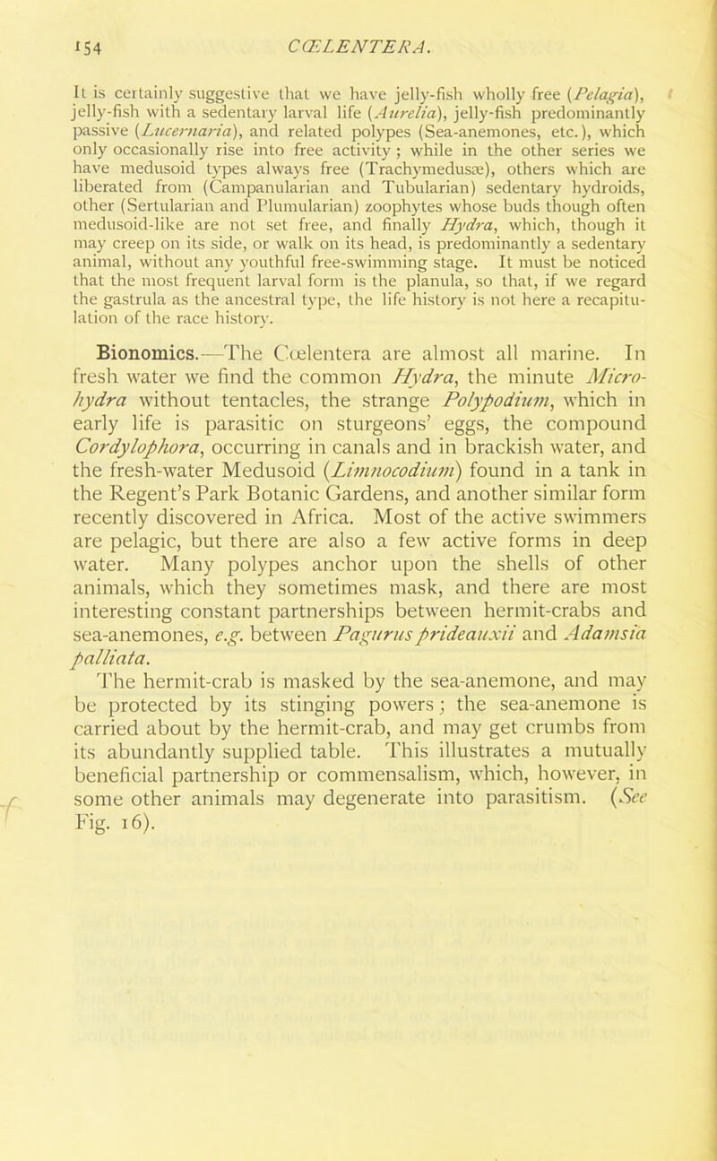 It is certainly suggestive that we have jelly-fish wholly free {Pelagia), jelly-fish with a sedentary larval life {Aurelia), jelly-fish predominantly passive {Lucernaria), and related polypes (Sea-anemones, etc.), which only occasionally rise into free activity; while in the other series we have medusoid types always free (Trachymedusse), others which are liberated from (Campanularian and Tubularian) sedentary hydroids, other (Sertularian and Plumularian) zoophytes whose buds though often medusoid-like are not set free, and finally Hydra, which, though it may creep on its side, or walk on its head, is predominantly a sedentary animal, without any youthful free-swimming stage. It must be noticed that the most frequent larval form is the planula, so that, if we regard the gastrula as the ancestral type, the life history is not here a recapitu- lation of the race history. Bionomics.—The Coelentera are almost all marine. In fresh water we find the common Hydra, the minute Micro- hydra without tentacles, the strange Polypodium, which in early life is parasitic on sturgeons’ eggs, the compound Cordylophora, occurring in canals and in brackish water, and the fresh-water Medusoid (Limnocodium) found in a tank in the Regent’s Park Botanic Gardens, and another similar form recently discovered in Africa. Most of the active swimmers are pelagic, but there are also a few active forms in deep water. Many polypes anchor upon the shells of other animals, which they sometimes mask, and there are most interesting constant partnerships between hermit-crabs and sea-anemones, e.g. between Pagurusprideauxii and Adamsia palliata. The hermit-crab is masked by the sea-anemone, and may be protected by its stinging powers; the sea-anemone is carried about by the hermit-crab, and may get crumbs from its abundantly supplied table. This illustrates a mutually beneficial partnership or commensalism, which, however, in some other animals may degenerate into parasitism. (See Fig. 16).
