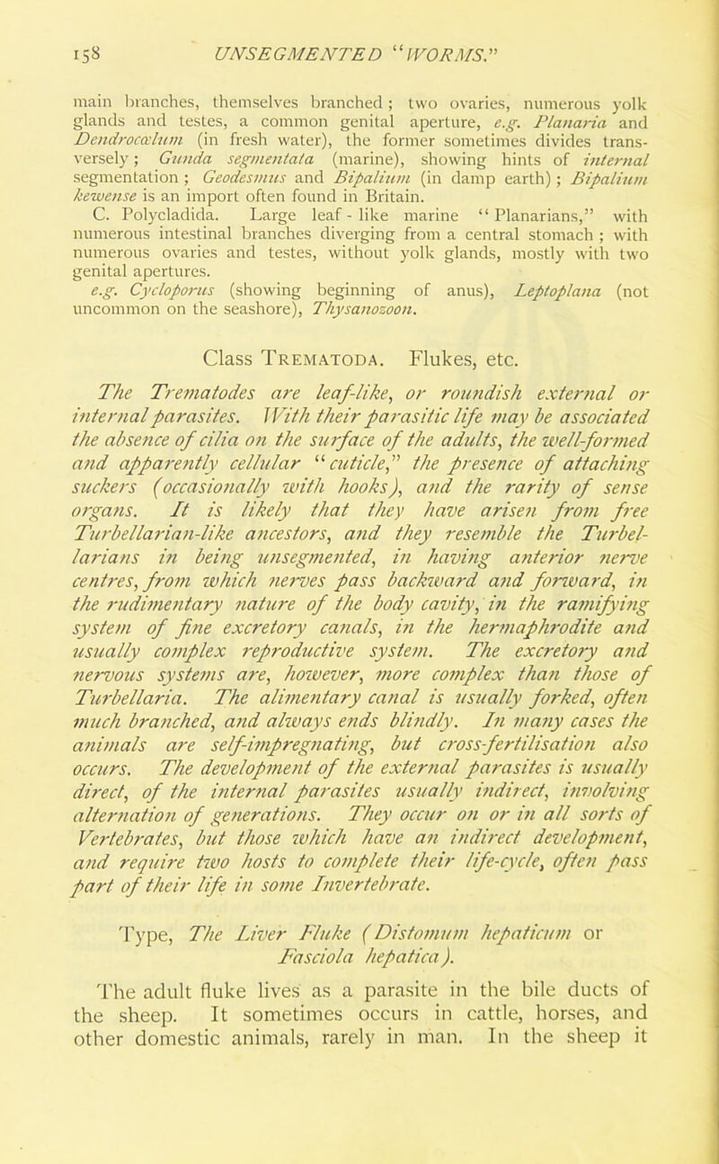 main branches, themselves branched; two ovaries, numerous yolk glands and testes, a common genital aperture, e.g. Planaria and Dendroccdum (in fresh water), the former sometimes divides trans- versely ; Gunda segmentata (marine), showing hints of internal segmentation ; Geodesmus and Bipalium (in damp earth); Bipalium kewense is an import often found in Britain. C. Polycladida. Large leaf - like marine “ Planarians,” with numerous intestinal branches diverging from a central stomach ; with numerous ovaries and testes, without yolk glands, mostly with two genital apertures. e.g. Cycloport/s (showing beginning of anus), Leptoplana (not uncommon on the seashore), Thysanozoon. Class Trematoda. Flukes, etc. The Trematodes are leaf-like, or roundish external or internal parasites. With their parasitic life may be associated the absence of cilia on the surface of the adults, the well-formed and apparently cellular “ cuticlef the presence of attaching suckers (occasionally with hooks), and the rarity of sense organs. It is likely that they have arisen from free Turbellarian-like attcestors, and they resemble the Turbe}- laria ns in being unsegmented, in having a/iterior fierve centres, from which nerves pass backward a?id fonvard, in the rudimentary nature of the body cavity, in the ramifying system of fine excretory canals, in the hermaphrodite and usually complex reproductive system. The excretory and nervous systems are, however, more complex than those of Turbellaria. The alimentary canal is usually forked, often much branched, and always ends blindly. In many cases the animals are self impregnating, but crossfertilisation also occurs. The development of the external parasites is usually direct, of the internal parasites usually indirect, involving alternation of generations. They occur on or in all sorts of Vertebrates, but those which have an indirect development, and require two hosts to complete their life-cycle, often pass part of their life in some Invertebrate. Type, The Liver Fluke (Distomum hepatic//m or Fasciola hepatica). The adult fluke lives as a parasite in the bile ducts of the sheep. It sometimes occurs in cattle, horses, and other domestic animals, rarely in man. In the sheep it