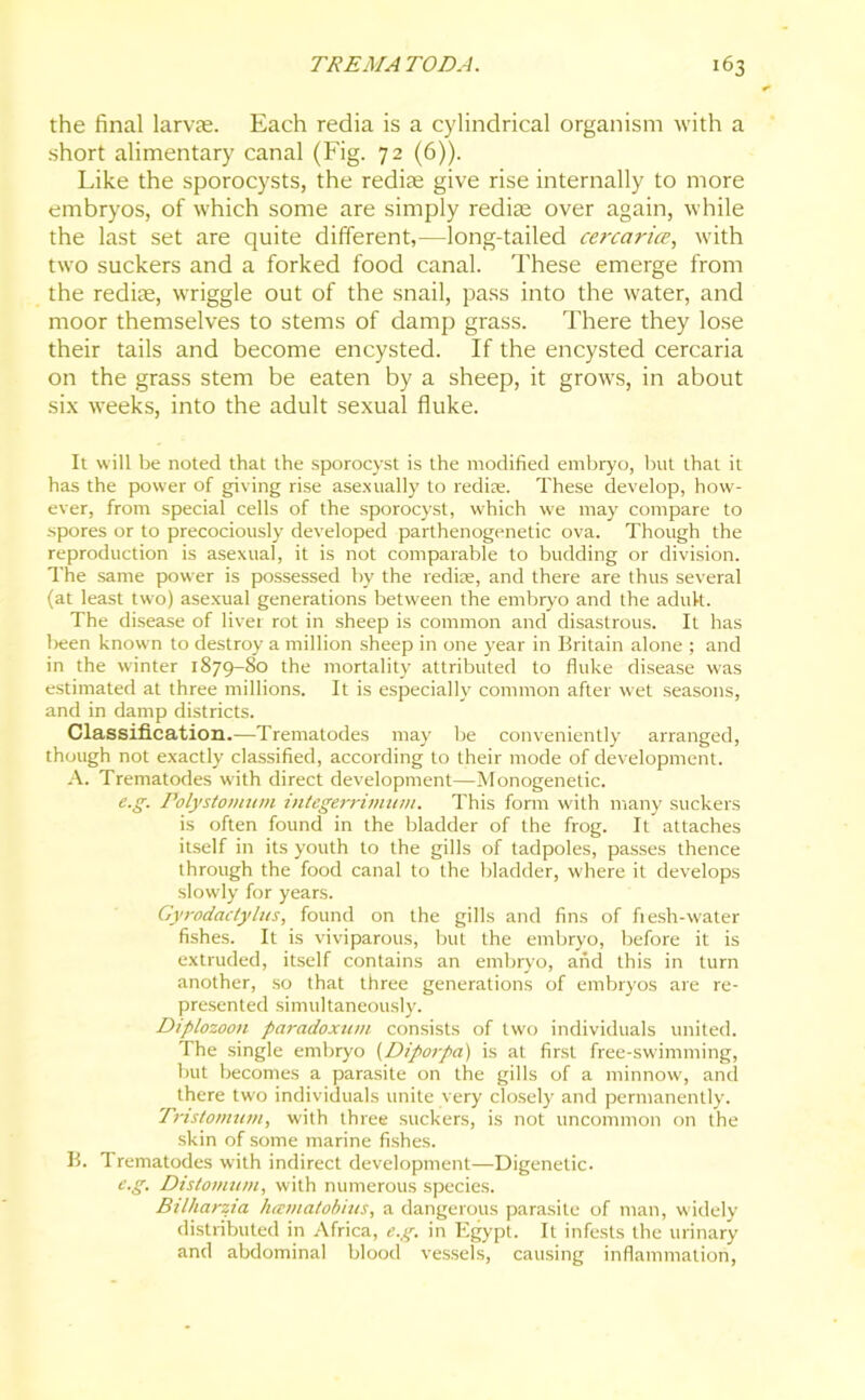 the final larvae. Each redia is a cylindrical organism with a short alimentary canal (Fig. 72 (6)). Like the sporocysts, the rediae give rise internally to more embryos, of which some are simply rediae over again, while the last set are quite different,—long-tailed cercarice, with two suckers and a forked food canal. These emerge from the rediae, wriggle out of the snail, pass into the water, and moor themselves to stems of damp grass. There they lose their tails and become encysted. If the encysted cercaria on the grass stem be eaten by a sheep, it grows, in about six weeks, into the adult sexual fluke. It will be noted that the sporocyst is the modified embryo, but that it has the power of giving rise asexually to redite. These develop, how- ever, from special cells of the sporocyst, which we may compare to spores or to precociously developed parthenogenetic ova. Though the reproduction is asexual, it is not comparable to budding or division. The same power is possessed by the rediae, and there are thus several (at least two) asexual generations between the embryo and the adult. The disease of liver rot in sheep is common and disastrous. It has been known to destroy a million sheep in one year in Britain alone ; and in the winter 1879-80 the mortality attributed to fluke disease was estimated at three millions. It is especially common after wet seasons, and in damp districts. Classification.—Trematodes may be conveniently arranged, though not exactly classified, according to their mode of development. A. Trematodes with direct development—Monogenetic. e.g. Polystomum integerrimum. This form with many suckers is often found in the bladder of the frog. It attaches itself in its youth to the gills of tadpoles, passes thence through the food canal to the bladder, where it develops slowly for years. Gyrodactylus, found on the gills and fins of fiesh-water fishes. It is viviparous, but the embryo, before it is extruded, itself contains an embryo, and this in turn another, so that three generations of embryos are re- presented simultaneously. Diplozoon paradoxical consists of two individuals united. The single embryo (Diporpa) is at first free-swimming, but becomes a parasite on the gills of a minnow, and there two individuals unite very closely and permanently. Tristomuni, with three suckers, is not uncommon on the skin of some marine fishes. B. Trematodes with indirect development—Digenetic. e.g. Distomum, with numerous species. Bilharzia heematobius, a dangerous parasite of man, widely distributed in Africa, e.g. in Egypt. It infests the urinary and abdominal blood vessels, causing inflammation,