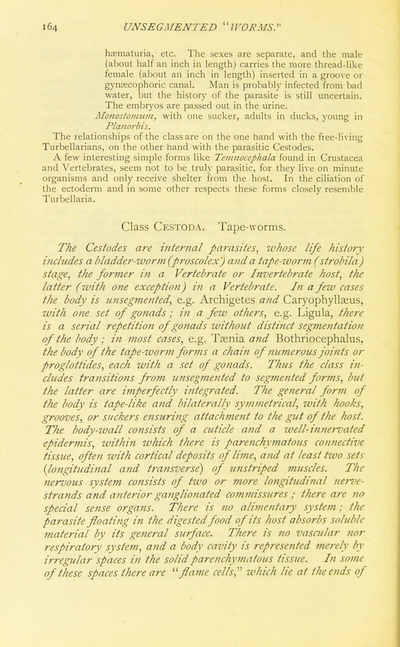 hsematuria, etc. The sexes are separate, and the male (about half an inch in length) carries the more thread-like female (about an inch in length) inserted in a groove or gynsecophoric canal. Man is probably infected from bad water, but the history of the parasite is still uncertain. The embryos are passed out in the urine. Monostomum, with one sucker, adults in ducks, young in Planorbis. The relationships of the class are on the one hand with the free-living Turbellarians, on the other hand with the parasitic Cestodes. A few interesting simple forms like Temnocephala found in Crustacea and Vertebrates, seem not to be truly parasitic, for they live on minute organisms and only receive shelter from the host. In the ciliation of the ectoderm and in some other respects these forms closely resemble Turbellaria. Class Cestoda. Tape-worms. The Cestodes are internal parasites, whose life history incltides a bladde7'-worm(proscolex) and a tape-worm (st?-ol>ila) stage, the former in a Vertebj-ate or Invertebrate host, the latter (with o?ie exception) in a Vertebrate. Iti a few cases the body is unsegmented, e.g. Archigetes and Caryophyllteus, with one set of gonads; in a few others, e.g. Ligula, there is a serial repetition of gonads without distinct segmentation of the body; in most cases, e.g. Taenia and Bothriocephalus, the body of the tape-ivorm forms a chain of numerous joints or proglottides, each with a set of gonads. Thus the class in- cludes transitions from unsegmented to segmented forms, but the latter are imperfectly integrated. The general form of the body is tape-like and bilaterally symmetrical, with hooks, grooves, or suckers ensuring attachment to the gut of the host. The body-wall consists of a cuticle and a well-innervated epide?-mis, within which there is parenchymatous co/mective tissue, often with cortical deposits of lime, and at least two sets (longitudinal and transverse) of unstriped muscles. The iiervous syste77i co7isists of two or i7iore longitudinal twve- st7-a7ids and a7ite7-ior ganglio7iated co7/i/nissures ; there are no special se7ise orga7is. There is 710 almentary system: the parasite floati7ig in the digested food of its host abso7-bs soluble 77iaterial by its ge7ie7-al surface. The7-e is no vascular nor respiratory system, a7id a body cavity is represe/ited i/ierely by irregular spaces in the solid parenchymatous tissue. In so/ne of these spaces there are “flame cells,” which lie at the ends of