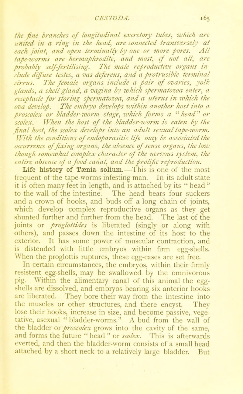 the fine branches ofi longitudinal excretory tubes, which are united in a ring in the head, are connected transversely at each joint, and open terminally by one or more pores. All tape-worms are hermaphrodite, and most, if not all, are probably self-fertilising. The male reproductive organs in- clude diffuse testes, a vas deferens, and a protrusible terminal cirrus. The female organs include a pair of ovaries, yolk glands, a shell gland, a vagina by which spermatozoa enter, a receptacle for storing spermatozoa, and a uterus in which the ova develop. The embryo develops withiti another host into a proscolex or bladder-worm stage, which forms a “head” or scolex. When the host of the bladder-worm is eaten by the final host, the scolex develops into an adult sexual tape-worm. With the conditions of endoparasitic life may be associated the occurrence of fixing organs, the absence of sense organs, the low though somewhat complex character of the nervous system, the entire absence of a food canal, and the prolific reproduction. Life history of Taenia solium.—This is one of the most frequent of the tape-worms infesting man. In its adult state it is often many feet in length, and is attached by its “ head ” to the wall of the intestine. The head bears four suckers and a crown of hooks, and buds off a long chain of joints, which develop complex reproductive organs as they get shunted further and further from the head. The last of the joints or proglottides is liberated (singly or along with others), and passes down the intestine of its host to the exterior. It has some power of muscular contraction, and is distended with little embryos within firm egg-shells. When the proglottis ruptures, these egg-cases are set free. In certain circumstances, the embryos, within their firmly resistent egg-shells, may be swallowed by the omnivorous pig. Within the alimentary canal of this animal the egg- shells are dissolved, and embryos bearing six anterior hooks are liberated. They bore their way from the intestine into the muscles or other structures, and there encyst. They lose their hooks, increase in size, and become passive, vege- tative, asexual “ bladder-worms.” A bud from the wall of the bladder or proscolex grows into the cavity of the same, and forms the future “ head ” or scolex. This is afterwards everted, and then the bladder-worm consists of a small head attached by a short neck to a relatively large bladder. But
