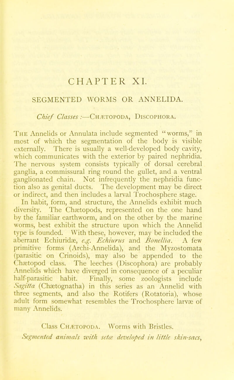 CHAPTER XI. SEGMENTED WORMS OR ANNELIDA. Chief Classes :—Ch.-etopoda, Discophora. The Annelids or Annulata include segmented “worms,” in most of which the segmentation of the body is visible externally. There is usually a well-developed body cavity, which communicates with the exterior by paired nephridia. The nervous system consists typically of dorsal cerebral ganglia, a commissural ring round the gullet, and a ventral ganglionated chain. Not infrequently the nephridia func- tion also as genital ducts. The development may be direct or indirect, and then includes a larval Trochosphere stage. In habit, form, and structure, the Annelids exhibit much diversity. The Chaetopods, represented on the one hand by the familiar earthworm, and on the other by the marine worms, best exhibit the structure upon which the Annelid type is founded. With these, however, may be included the aberrant Echiuridse, e.g. Echiurus and Bo7iellia. A few primitive forms (Archi-Annelida), and the Myzostomata (parasitic on Crinoids), may also be appended to the Chaetopod class. The leeches (Discophora) are probably Annelids which have diverged in consequence of a peculiar half-parasitic habit. Finally, some zoologists include Sagitta (Chaetognatha) in this series as an Annelid with three segments, and also the Rotifers (Rotatoria), whose adult form somewhat resembles the Trochosphere larvae of many Annelids. Class Ch/ETOPODA. Worms with Bristles. Segmented, animals with setae developed in little skin-sacs,