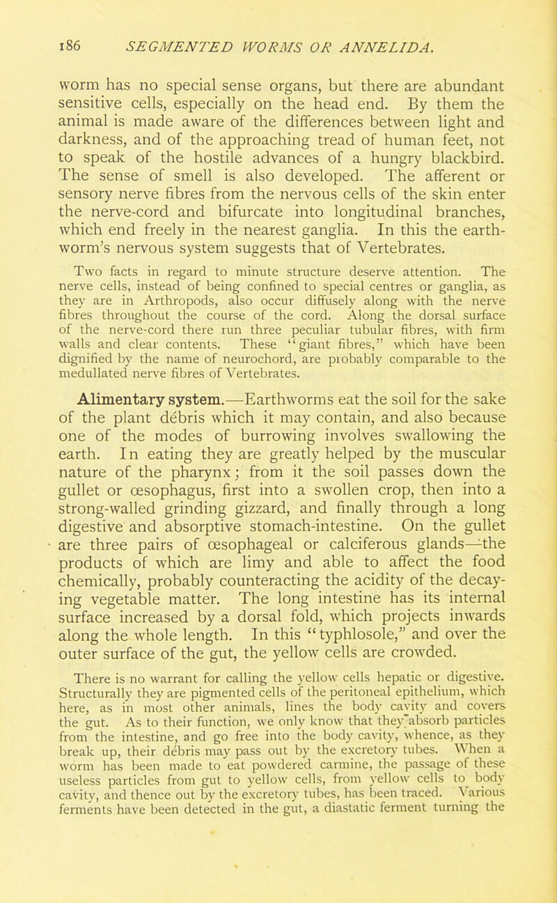 worm has no special sense organs, but there are abundant sensitive cells, especially on the head end. By them the animal is made aware of the differences between light and darkness, and of the approaching tread of human feet, not to speak of the hostile advances of a hungry blackbird. The sense of smell is also developed. The afferent or sensory nerve fibres from the nervous cells of the skin enter the nerve-cord and bifurcate into longitudinal branches, which end freely in the nearest ganglia. In this the earth- worm’s nervous system suggests that of Vertebrates. Two facts in regard to minute structure deserve attention. The nerve cells, instead of being confined to special centres or ganglia, as they are in Arthropods, also occur diffusely along with the nerve fibres throughout the course of the cord. Along the dorsal surface of the nerve-cord there run three peculiar tubular fibres, with firm walls and clear contents. These “giant fibres,” which have been dignified by the name of neurochord, are probably comparable to the medullated nerve fibres of Vertebrates. Alimentary system.—Earthworms eat the soil for the sake of the plant debris which it may contain, and also because one of the modes of burrowing involves swallowing the earth. I n eating they are greatly helped by the muscular nature of the pharynx; from it the soil passes down the gullet or oesophagus, first into a swollen crop, then into a strong-walled grinding gizzard, and finally through a long digestive and absorptive stomach-intestine. On the gullet are three pairs of oesophageal or calciferous glands—the products of which are limy and able to affect the food chemically, probably counteracting the acidity of the decay- ing vegetable matter. The long intestine has its internal surface increased by a dorsal fold, which projects inwards along the whole length. In this “ typhlosole,” and over the outer surface of the gut, the yellow cells are crowded. There is no warrant for calling the yellow cells hepatic or digestive. Structurally they are pigmented cells of the peritoneal epithelium, which here, as in most other animals, lines the body cavity and covers the gut. As to their function, we only know that they'absorb particles from the intestine, and go free into the body cavity, whence, as they break up, their debris may pass out by the excretory tubes. When a worm has been made to eat powdered carmine, the passage of these useless particles from gut to yellow cells, from yellow cells to body cavity, and thence out by the excretory tubes, has been traced. Various ferments have been detected in the gut, a diastatic ferment turning the