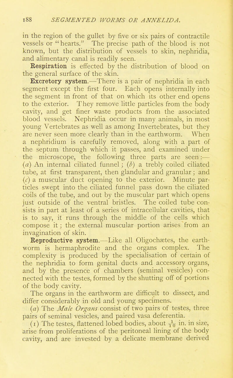 in the region of the gullet by five or six pairs of contractile vessels or “hearts.” The precise path of the blood is not known, but the distribution of vessels to skin, nephridia, and alimentary canal is readily seen. Respiration is effected by the distribution of blood on the general surface of the skin. Excretory system.—There is a pair of nephridia in each segment except the first four. Each opens internally into the segment in front of that on which its other end opens to the exterior. They remove little particles from the body cavity, and get finer waste products from the associated blood vessels. Nephridia occur in many animals, in most young Vertebrates as well as among Invertebrates, but they are never seen more clearly than in the earthworm. When a nephridium is carefully removed, along with a part of the septum through which it passes, and examined under the microscope, the following three parts are seen:— (a) An internal ciliated funnel; (b) a trebly coiled ciliated tube, at first transparent, then glandular and granular; and (e) a muscular duct opening to the exterior. Minute par- ticles swept into the ciliated funnel pass down the ciliated coils of the tube, and out by the muscular part which opens just outside of the ventral bristles. The coiled tube con- sists in part at least of a series of intracellular cavities, that is to say, it runs through the middle of the cells which compose it; the external muscular portion arises from an invagination of skin. Reproductive system.—Like all Oligochsetes, the earth- worm is hermaphrodite and the organs complex. The complexity is produced by the specialisation of certain of the nephridia to form genital ducts and accessory organs, and by the presence of chambers (seminal vesicles) con- nected with the testes, formed by the shutting off of portions of the body cavity. The organs in the earthworm are difficult to dissect, and differ considerably in old and young specimens. (a) The Male Organs consist of two pairs of testes, three pairs of seminal vesicles, and paired vasa deferentia. (i) The testes, flattened lobed bodies, about y1^ in. in size, arise from proliferations of the peritoneal lining of the body cavity, and are invested by a delicate membrane derived