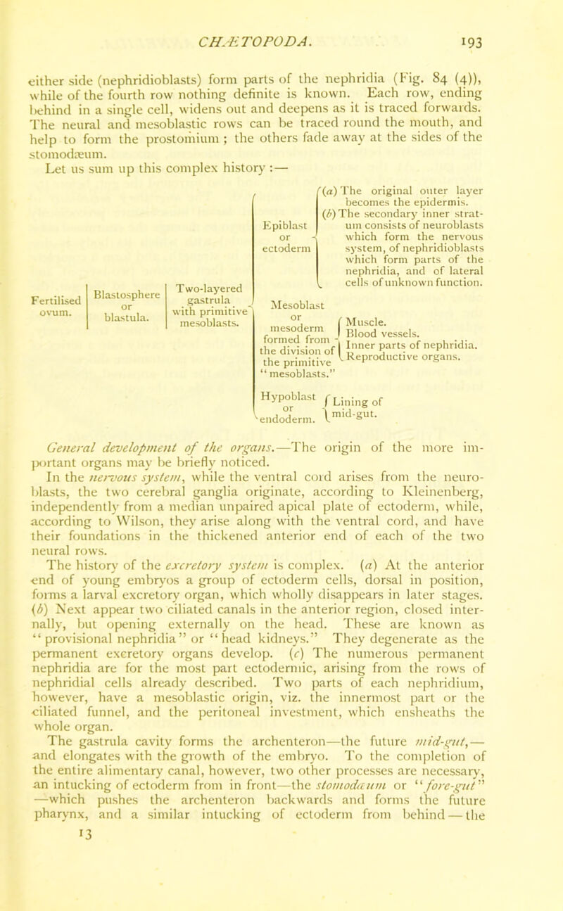 either side (nephridioblasts) form parts of the nephridia (Fig. 84 (4)), while of the fourth row nothing definite is known. Each row, ending behind in a single cell, widens out and deepens as it is traced forwards. The neural and mesoblastic rows can be traced round the mouth, and help to form the prostomium ; the others fade away at the sides of the stomcxkeum. Let us sum up this complex history :— Fertilised ovum. Blasiosphere or blastula. Two-layered gastrula with primitive^ mesoblasts. K pi blast or ectoderm f (a) The original outer layer becomes the epidermis. (/>)The secondary inner strat- um consists of neuroblasts which form the nervous system, of nephridioblasts which form parts of the nephridia, and of lateral . cells of unknown function. Mesoblast mesoderm | formed from the division of | the primitive “ mesoblasts.” Muscle. Blood vessels. Inner parts of nephridia. Reproductive organs. Hypoblast fLiningof endoderm. lmid‘Sut- General development of the organs.—The origin of the more im- portant organs may be briefly noticed. In the nervous system, while the ventral cord arises from the neuro- blasts, the two cerebral ganglia originate, according to Kleinenberg, independently from a median unpaired apical plate of ectoderm, while, according to Wilson, they arise along with the ventral cord, and have their foundations in the thickened anterior end of each of the two neural rows. The history of the excretory system is complex, (a) At the anterior end of young embryos a group of ectoderm cells, dorsal in position, forms a larval excretory organ, which wholly disappears in later stages. (6) Next appear two ciliated canals in the anterior region, closed inter- nally, but opening externally on the head. These are known as “provisional nephridia” or “head kidneys.” They degenerate as the permanent excretory organs develop, (c) The numerous permanent nephridia are for the most part ectodermic, arising from the rows of nephridial cells already described. Two parts of each nephridium, however, have a mesoblastic origin, viz. the innermost part or the ciliated funnel, and the peritoneal investment, which ensheaths the whole organ. The gastrula cavity forms the archenteron—the future mid-gut,— and elongates with the growth of the embryo. To the completion of the entire alimentary canal, however, two other processes are necessary, an intucking of ectoderm from in front—the stomodaum or “ fore-gut —which pushes the archenteron backwards and forms the future pharynx, and a similar intucking of ectoderm from behind — the 13