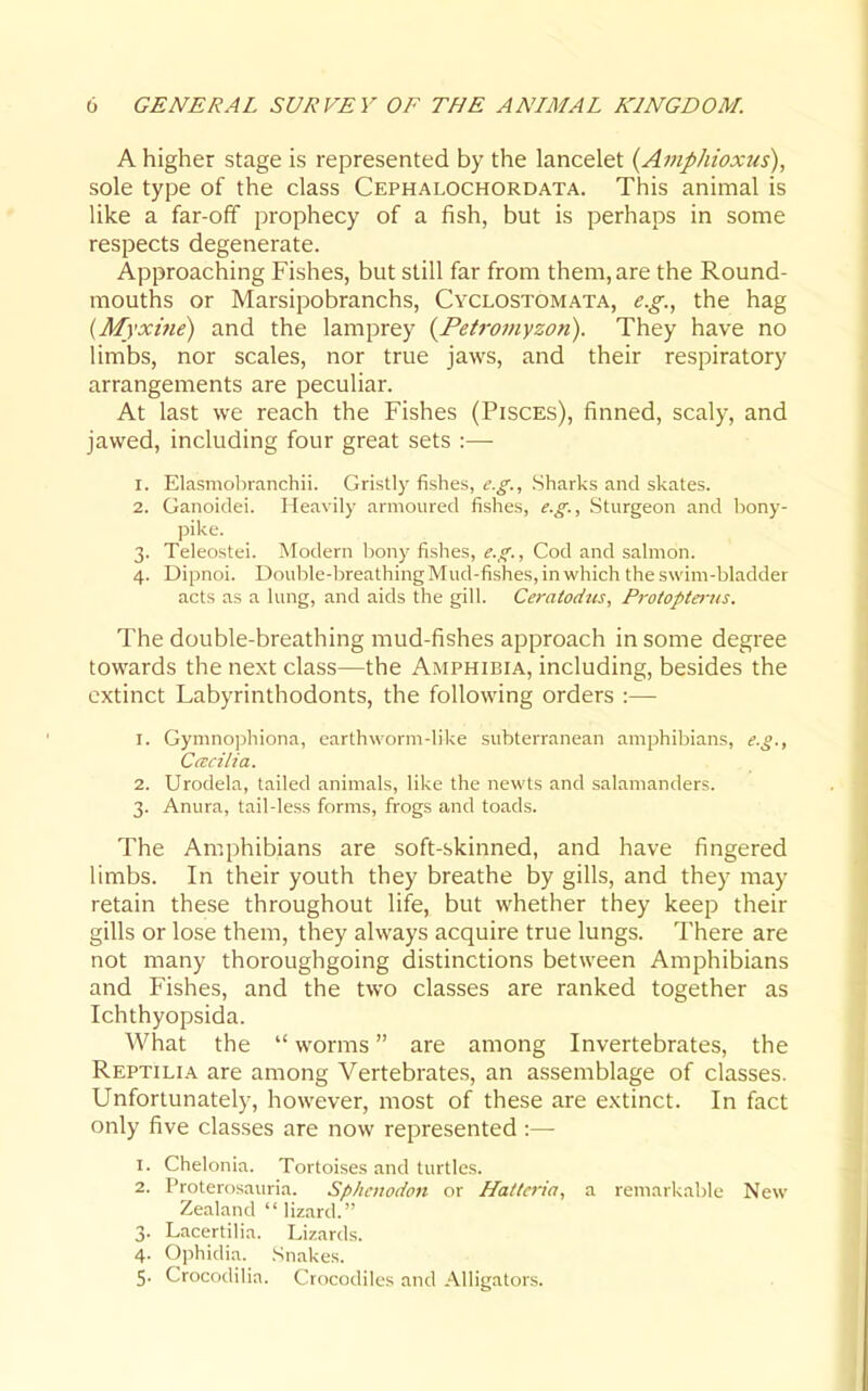 A higher stage is represented by the lancelet {Amphioxus), sole type of the class Cephalochordata. This animal is like a far-off prophecy of a fish, but is perhaps in some respects degenerate. Approaching Fishes, but still far from them, are the Round- mouths or Marsipobranchs, Cyclostomata, e.g., the hag {Myxitie) and the lamprey {Petromyzon). They have no limbs, nor scales, nor true jaws, and their respiratory arrangements are peculiar. At last we reach the Fishes (Pisces), finned, scaly, and jawed, including four great sets :— 1. Elasmobranchii. Gristly fishes, e.g.. Sharks and skates. 2. Ganoidei. Heavily armoured fishes, e.g.. Sturgeon and liony- pike. 3. Teleostei. Modern bony fishes, e.g.. Cod and salmon. 4. Dipnoi. Double-breathing Mud-fishes, in which the swim-bladder acts as a lung, and aids the gill. Ceratodus, Protopteriis. The double-breathing mud-fishes approach in some degree towards the next class—the Amphibia, including, besides the extinct Labyrinthodonts, the following orders :— 1. Gymno])hiona, earthworm-like subterranean amphibians, e.g., Cacilia. 2. Urodela, tailed animals, like the newts and salamanders. 3. Anura, tail-less forms, frogs and toads. The Amphibians are soft-skinned, and have fingered limbs. In their youth they breathe by gills, and they may retain these throughout life, but whether they keep their gills or lose them, they always acquire true lungs. There are not many thoroughgoing distinctions between Amphibians and Fishes, and the two classes are ranked together as Ichthyopsida. What the  worms are among Invertebrates, the Reptilia are among Vertebrates, an assemblage of classes. Unfortunately, however, most of these are extinct. In fact only five classes are now represented :— 1. Chelonia. Tortoises and turtles. 2. Proterosauria. Spliowdon or Hatleria, a remarkable New Zealand  lizard. 3. Lacertilia. Lizards. 4. Ophidia. Snakes.