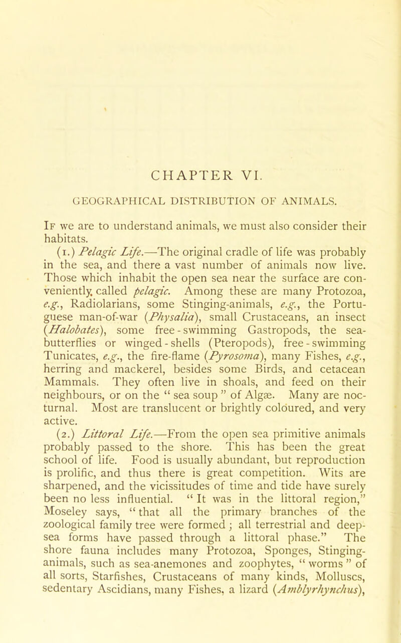 GEOGRAPHICAL DISTRIBUTION OF ANIMALS. If we are to understand animals, we must also consider their habitats. (i.) Pelagic Life.—The original cradle of life was probably in the sea, and there a vast number of animals now live. Those which inhabit the open sea near the surface are con- veniently, called pelagic. Among these are many Protozoa, e.g.., Radiolarians, some Stinging-animals, e.g., the Portu- guese man-of-war {Fhysalia), small Crustaceans, an insect {Halobates)., some free - swimming Gastropods, the sea- butterflies or winged - shells (Pteropods), free - swimming Tunicates, e.g.., the fire-flame CPyrosoma), many Fishes, e.g., herring and mackerel, besides some Birds, and cetacean Mammals. They often live in shoals, and feed on their neighbours, or on the  sea soup  of Algas. Many are noc- turnal. Most are translucent or brightly coloured, and y&ry active. (2.) Littoral Life.—From the open sea primitive animals probably passed to the shore. This has been the great school of life. Food is usually abundant, but reproduction is prolific, and thus there is great competition. Wits are sharpened, and the vicissitudes of time and tide have surely been no less influential.  It was in the littoral region, Moseley says,  that all the primary branches of the zoological family tree were formed ; all terrestrial and deep- sea forms have passed through a littoral phase. The shore fauna includes many Protozoa, Sponges, Stinging- animals, such as sea-anemones and zoophytes,  worms  of all sorts. Starfishes, Crustaceans of many kinds. Molluscs, sedentary Ascidians, many Fishes, a lizard {A7nblyrhynchus),