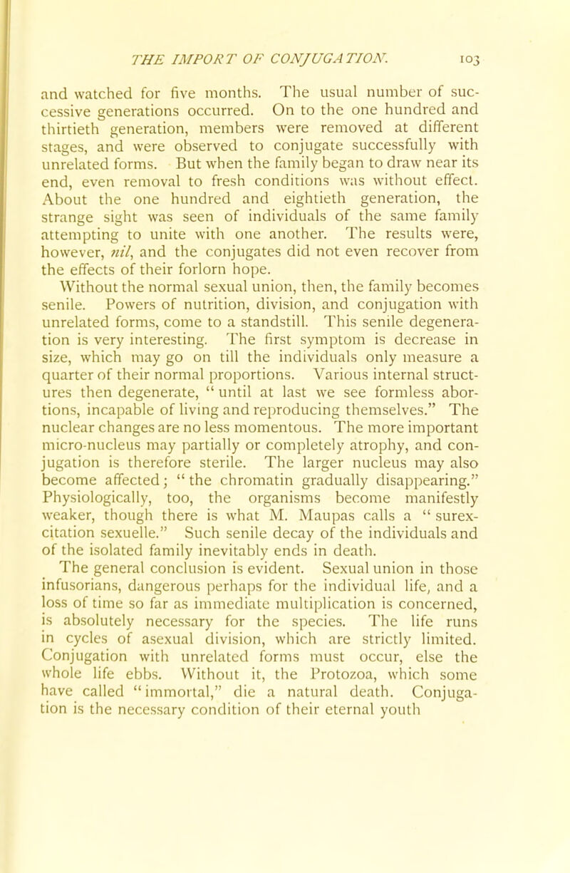 THE IMPORT OF CONJUGATION. and watched for five months. The usual number of suc- cessive generations occurred. On to the one hundred and thirtieth generation, members were removed at different stages, and were observed to conjugate successfully with unrelated forms. But when the family began to draw near its end, even removal to fresh conditions was without effect. About the one hundred and eightieth generation, the strange sight was seen of individuals of the same family attempting to unite with one another. The results were, however, «//, and the conjugates did not even recover from the effects of their forlorn hope. Without the normal sexual union, then, the family becomes senile. Powers of nutrition, division, and conjugation with unrelated forms, come to a standstill. This senile degenera- tion is very interesting. The first symptom is decrease in size, which may go on till the individuals only measure a quarter of their normal proportions. Various internal struct- ures then degenerate,  until at last we see formless abor- tions, incapable of living and reproducing themselves. The nuclear changes are no less momentous. The more important micro-nucleus may partially or completely atrophy, and con- jugation is therefore sterile. The larger nucleus may also become affected; the chromatin gradually disappearing. Physiologically, too, the organisms become manifestly weaker, though there is what M. Maupas calls a  surex- citation sexuelle. Such senile decay of the individuals and of the isolated family inevitably ends in death. The general conclusion is evident. Sexual union in those infusorians, dangerous perhaps for the individual life^ and a loss of time so far as immediate multiplication is concerned, is absolutely necessary for the species. The life runs in cycles of asexual division, which are strictly limited. Conjugation with unrelated forms must occur, else the whole life ebbs. Without it, the Protozoa, which some have called immortal, die a natural death. Conjuga- tion is the necessary condition of their eternal youtli