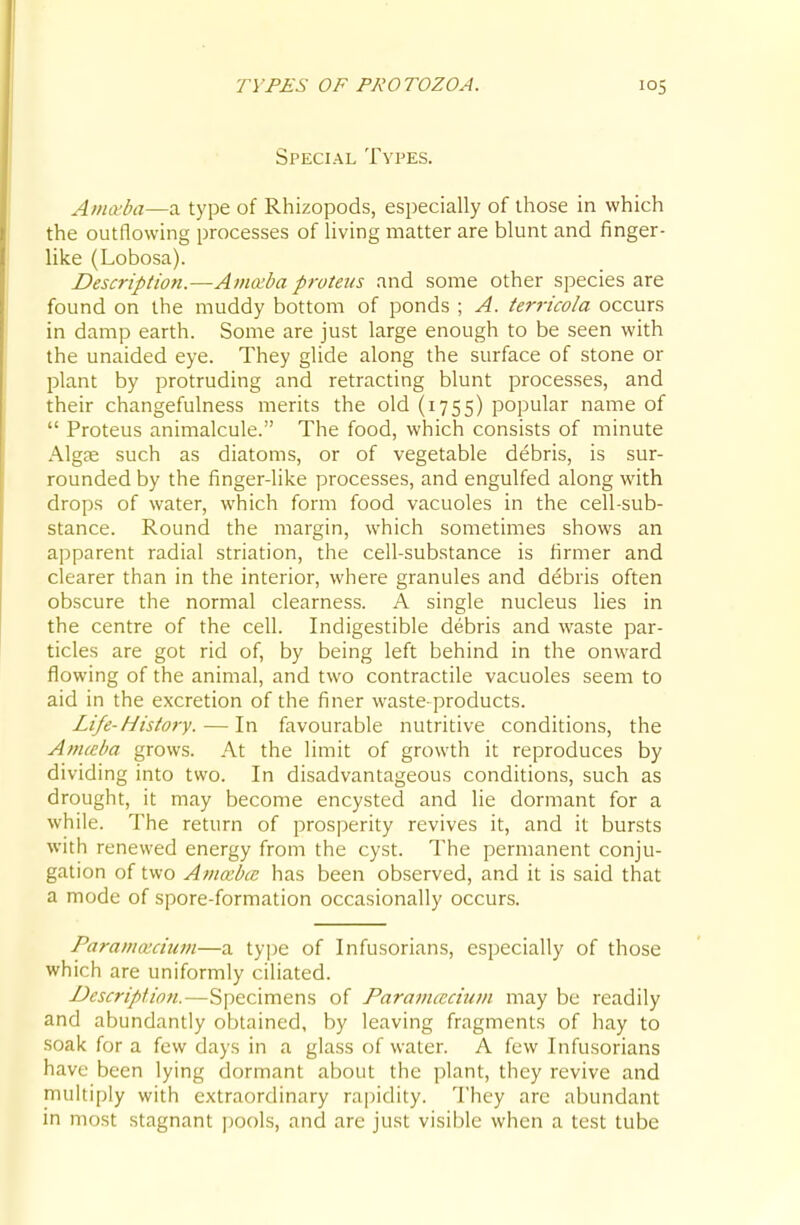 Special Types. Amoiba—a type of Rhizopods, especially of those in which the outflowing processes of living matter are blunt and finger- like (Lobosa). Description.—Avmba proteiis and some other species are found on the muddy bottom of ponds ; A. terricola occurs in damp earth. Some are just large enough to be seen with the unaided eye. They glide along the surface of stone or plant by protruding and retracting blunt processes, and their changefulness merits the old (1755) popular name of  Proteus animalcule. The food, which consists of minute Algje such as diatoms, or of vegetable debris, is sur- rounded by the finger-like processes, and engulfed along with drops of water, which form food vacuoles in the cell-sub- stance. Round the margin, which sometimes shows an apparent radial striation, the cell-substance is firmer and clearer than in the interior, where granules and debris often obscure the normal clearness. A single nucleus lies in the centre of the cell. Indigestible debris and waste par- ticles are got rid of, by being left behind in the onward flowing of the animal, and two contractile vacuoles seem to aid in the excretion of the finer waste-products. Life-History. — In favourable nutritive conditions, the Amceha grows. At the limit of growth it reproduces by dividing into two. In disadvantageous conditions, such as drought, it may become encysted and lie dormant for a while. The return of prosperity revives it, and it bunsts with renewed energy from the cyst. The permanent conju- gation of two Aniabte has been observed, and it is said that a mode of spore-formation occasionally occurs. Parainoidiim—a type of Infusorians, especially of those which are uniformly ciliated. Description.—Specimens of Paramcecium may be readily and abundantly obtained, by leaving fragments of hay to soak for a few days in a glass of water. A few Infusorians have been lying dormant about the plant, they revive and multiply with extraordinary rapidity. They are abundant in most stagnant jjools, and are just visible when a test tube