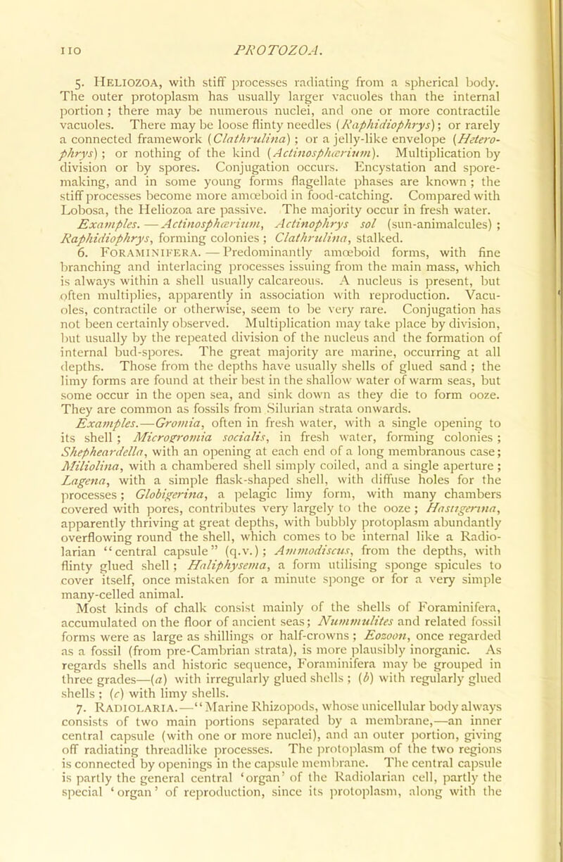 5. Heliozoa, with stiff processes radiating from a spherical body. The outer protoplasm has usually larger vacuoles than the internal portion ; there may be numerous nuclei, and one or more contractile vacuoles. There may be loose flinty needles [Raphidiophrys); or rarely a connected framework (Clathrulina) ; or a jelly-like envelope {Hetero- phrys) ; or nothing of the kind (Actinosp/itcriutn). Multiplication by division or by spores. Conjugation occurs. Encystation and spore- making, and in some young forms flagellate phases are known ; the stiff processes become more amosboid in food-catching. Compared with Lobosa, the Heliozoa are passive. The majority occur in fresh water. Examples.—Actinosphccriiitn, Actinophrys sol (sun-animalcules); Raphidiopkrys, forming colonies ; Clathrulina, stalked. 6. FORAMINIFERA.—Predominantly amoeboid forms, with fine branching and interlacing processes issuing from the main mass, which is always within a shell usually calcareous. A nucleus is present, but Qften multiplies, apparently in association with reproduction. Vacu- oles, contractile or otherwise, seem to be very rare. Conjugation has not been certainly observed. Multiplication may take place by division, but usually by the repeated division of the nucleus and the formation of internal bud-spores. The great majority are marine, occurring at all depths. Those from the depths have usually shells of glued sand ; the limy forms are found at their best in the shallow water of warm seas, but some occur in the open sea, and sink down as they die to form ooze. They are common as fossils from Silurian strata onwards. Exajiiples.—Gromia, often in fresh water, with a single opening to its shell; Microzroviia socialis, in fresh water, forming colonies ; Shepheardella, with an opening at each end of a long membranous case; Milioliita, with a chambered shell simply coiled, and a single aperture; Lagena, with a simple flask-shaped shell, with diffuse holes for the processes; Globigerina, a ]ielagic limy form, with many chambers covered with pores, contributes very largely to the ooze ; Hasttgentia, apparently thriving at great depths, with bubbly protoplasm abundantly overflowing round the shell, which comes to be internal like a Radio- larian central capsule (q.v.); Avimodiscus, from the depths, with flinty glued shell; ffaliphysema, a form utilising sponge spicules to cover itself, once mistaken for a minute sponge or for a very simple many-celled animal. Most kinds of chalk consist mainly of the shells of Foraminifera, accumulated on the floor of ancient seas; Nummtdites and related fossil forms were as large as shillings or half-crowns ; Eozoon, once regarded as a fossil (from pre-Cambrian strata), is more plausibly inorganic. As regards shells and historic sequence, Foraminifera may be grouped in three grades—{a) with irregularly glued shells ; {b) with regularly glued shells ; {c) with limy shells. 7. Radiolaria.—Marine Rhizopods, whose unicellular body always consists of two main portions separated by a membrane,—an inner central capsule (with one or more nuclei), and an outer portion, giving off radiating threadlike processes. The ]ir()lo]ilasm of the two regions is connected by openings in the capsule membrane. The central capsule is partly the general central 'organ' of the Radiolarian cell, partly the special 'organ' of reproduction, since its ])rotoplasm, along with the