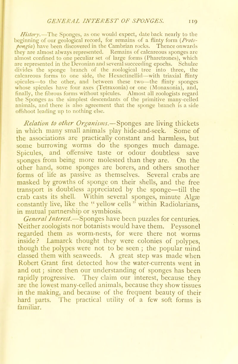 History.—The Spontjes, as one would expect, date back nearly to the beginning of our geological record, for remains of a flinty form [Proto- pongia) have been discovered in the Cambrian rocks. Thence onwards they are almost always represented. Remains of calcareous sponges are almost confined to one peculiar set of large forms (Pharetrones), which are represented in the Devonian and several succeeding epochs. Schulze divides the sponge branch of the zoological tree into three, the calcareous forms to one side, the Hexactinellid—with triaxial flinty spicules—to the other, and between these two—the flinty sponges whose spicules have four axes (Tetraxonia) or one (Monaxonia), and, finally, the fibrous forms without spicules. Almost all zoologists regard the Sponges as the simplest descendants of the primitive many-celled animals, and there is also agreement that the sponge branch is a side ofishoot leading up to nothing else. Relation to other 07-ganisiiis.—Sponges are living thickets in which many small animals play hide-and-seek. Some of the associations are practically constant and harmless, but some burrowing worms do the sponges much damage. Spicules, and offensive taste or odour doubtless save sponges from being more molested than they are. On the other hand, some sponges are borers, and others smother forms of life as passive as themselves. Several crabs are masked by growths of sponge on their shells, and the free transport is doubtless appreciated by the sponge—till the crab casts its shell. Within several sponges, minute Algae constantly live, like the  yellow cells  within Radiolarians, in mutual partnership or symbiosis. General Interest.—Sponges have been puzzles for centuries. Neither zoologi.sts nor botanists would have them. Peyssonel regarded them as worm-nests, for were there not worms inside? Lamarck thought they were colonies of polypes, though the polypes were not to be seen ; the popular mind classed them with seaweeds. A great step was made when Robert Grant first detected how the water-currents went in and out; since then our understanding of sponges has been rapidly progressive. They claim our interest, because they are the lowest many-celled animals, because they show tissues in the making, and because of the frequent beauty of their hard parts. The practical utility of a few soft forms is familiar.