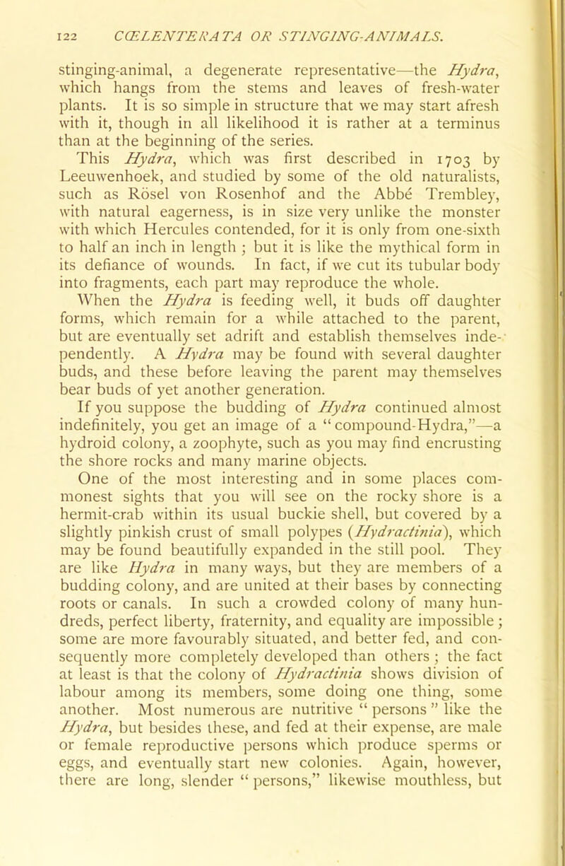 stinging-animal, a degenerate representative—the Hydi-a, which hangs from the stems and leaves of fresh-water plants. It is so simple in structure that we may start afresh with it, though in all likelihood it is rather at a terminus than at the beginning of the series. This Hydra, which was first described in 1703 by Leeuwenhoek, and studied by some of the old naturalists, such as Rosel von Rosenhof and the Abbe Trembley, with natural eagerness, is in size very unlike the monster with which Hercules contended, for it is only from one-sixth to half an inch in length ; but it is like the mythical form in its defiance of wounds. In fact, if we cut its tubular body into fragments, each part may reproduce the whole. When the Hydra is feeding well, it buds off daughter forms, which remain for a while attached to the parent, but are eventually set adrift and establish themselves inde-' pendently. A Hydra may be found with several daughter buds, and these before leaving the parent may themselves bear buds of yet another generation. If you suppose the budding of Hydra continued almost indefinitely, you get an image of a compound-Hydra,—a hydroid colony, a zoophyte, such as you may find encrusting the shore rocks and many marine objects. One of the most interesting and in some places com- monest sights that you will see on the rocky shore is a hermit-crab within its usual buckie shell, but covered by a slightly pinkish crust of small polypes {Hydi-aciinta), which may be found beautifully expanded in the still pool. They are like Hydra in many ways, but they are members of a budding colony, and are united at their bases by connecting roots or canals. In such a crowded colony of many hun- dreds, perfect liberty, fraternity, and equality are impossible ; some are more favourably situated, and better fed, and con- sequently more completely developed than others ; the fact at least is that the colony of Hydractinia shows division of labour among its members, some doing one thing, some another. Most numerous are nutritive  persons  like the Hydra, but besides these, and fed at their expense, are male or female reproductive jjersons which produce sperms or eggs, and eventually start new colonies. Again, however, there are long, .slender  persons, likewise mouthless, but