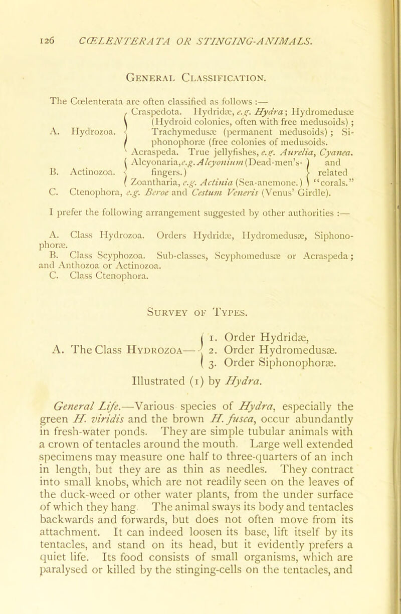 General Classification. The Coelenterata are often classified as follows :— , Craspedota. Hydridre, e.s^. Hydra; Hydromedusce \ (Hydroid colonies, often with free medusoids) ; A. Hydrozoa. < Trachymedusre (permanent medusoids) ; Si- / phonophorte (free colonies of medusoids. ^ Acraspeda. Txw^ ]&\hjfi'~^ii%,e.^. Anrelia, Cyanea. I Alcyonaria,c.j?.^/fjwi//^w(Dead-men's- \ and B. Actinozoa. \ fingers.) \ related ( Zoantharia, i:'.^^'-. ^c/iVwa (Sea-anemone.) ) corals. C. Ctenophora, e.g. Bcroc imA Cesium Veneris (Venus' Girdle). I prefer the following arrangement suggested by other authorities :— A. Class Hydrozoa. Orders Hydride, Hydromeduste, .Siphono- phorre. B. Class Scyphozoa. Sub-classes, Scyphomeduste or Acraspeda; and Anthozoa or Actinozoa. C. Class Ctenophora. Survey of Types. j I. Order Hydridce, A. The Class Hydrozoa—2. Order Hydromedusa;. ( 3. Order SiphonophorK. Illustrated (i) by Hydra. General Life.—Various species of Hydra, especially the green H. viridis and the brown H.fjtsca, occur abundantly in fresh-water ponds. They are simple tubular animals with a crown of tentacles around the mouth. Large well extended specimens may measure one half to three-quarters of an inch in length, but they are as thin as needles. They contract into small knobs, which are not readily seen on the leaves of the duck-weed or other water plants, from the under surface of which they hang The animal sways its body and tentacles backwards and forwards, but does not often move from its attachment. It can indeed loosen its base, lift itself by its tentacles, and stand on its head, but it evidently prefers a quiet life. Its food consists of small organisms, which are paralysed or killed by the stinging-cells on the tentacles, and