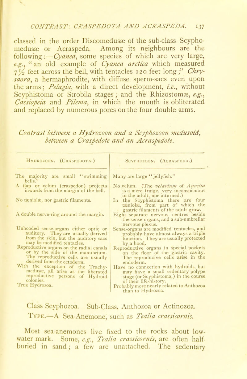 classed in the order Discomedusas of the sub-class Scypho- meduscB or Acraspeda. Among its neighbours are the following:—Cya/iea, some species of which are very large, e.g.,  an old example of Cyaiiea ardica which measured 7 Yn, feet across the bell, with tentacles 120 feet long ; Chry- saora, a hermaphrodite, with diffuse sperm-sacs even upon the arms; Pelagia, with a direct development, i.e., without Scyphistoma or Strobila stages; and the Rhizostom£e, e.g., Cassiopeia and Pilema, in which the mouth is obliterated and replaced by numerous pores on the four double arms. Contrast between a Hydrozoon and a Scyphozooti medusoid, between a Craspedote and an Acraspedote. Hydrozoon. (Craspedota.) The majority are small swimming bells. .A flap or velum (craspedon) projects inwards from the margin of the bell. No ta:niola2, nor gastric filaments. A double nerve-ring around the margin. Unheeded sense-organs either optic or auditory. They are usually derived from the skin, but the auditory sacs may be modified tentacles. Reproductive organs on the radial canals or by the side of the manubrium. The reproductive cells are usually derived from the ectoderm. With the exception of the Trachy- medusa;, all arise as the lilierated reproductive persons of Hydroid colonies. True Hydrozoa. ScYPHozooN. (Acraspeda.) Many are large jellyfish. No velum. (The velarium of A iirclia is a mere fringe, very inconspicuous in the adult, nor inturned.) In the Scyphistoma there are four tajniola;, from part of which the gastric filaments of the adult grow. Eight separate nervous centres beside the sense-organs, and a sub-umbrellar nervous ple.xus. Sense-organs are modified tentacles, and probably have almost always a triple function. They are usually protected by a hood. Reproductive organs in special pockets on the floor of the gastric cavity. The reproducive cells arise in the endoderm. Have no connection with hydroids, but may have a small sedentary polype stage (or Scyphistoma,) in the course of their life-history. Probably more nearly related to .'Vnthozoa than to Hydrozoa. Class Scyphozoa. Sub-Class, Anthozoa or Actinozoa. Type.—A Sea-Anemone, such as Tealia crassicornis. Most sea-anemones live fixed to the rocks about low- water mark. Some, e.g., Tealia crassicornis, are often half- buried in sand; a few arc unattaciied. The sedentary