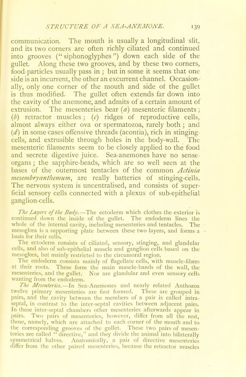 communication. The mouth is usually a longitudinal slit, and its two corners are often richly ciliated and continued into grooves ( siphonoglyphes) down each side of the gullet. Along these two grooves, and by these two corners, food particles usually pass in ; but in some it seems that one side is an incurrent, the other an excurrent channel. Occasion- ally, only one corner of the mouth and side of the gullet is thus modified. The gullet often extends far down into the cavity of the anemone, and admits of a certain amount of extrusion. The mesenteries bear (a) mesenteric filaments ; (b) retractor muscles; (^r) ridges of reproductive cells, almost always either ova or spermatozoa, rarely both ; and {d) in some cases offensive threads (acontia), rich in stinging- cells, and extrusible through holes in the body-wall. The mesenteric filaments seem to be closely applied to the food and secrete digestive juice. Sea-anemones have no sense- organs ; the sapphire-beads, which are so well seen at the bases of the outermost tentacles of the common Actinia mesembryantJmnum^ are really batteries of stinging-cells. The nervous system is uncentralised, and consists of super- ficial sensory cells connected with a plexus of sub-epithelial ganglion-cells. The Layers of the Body.—The ectoderm which clothes the exterior is continued down the inside of the gullet. The endoderm lines the whole of the internal cavity, including mesenteries and tentacles. The mesogloea is a supporting plate between these two layers, and forms a basis for their cells. The ectoderm consists of ciliated, sensory, stinging, and glandular cells, and also of sub-epithelial muscle and ganglion cells based on the mesogloea, but mainly restricted to the circumoral region. The endoderm consists mainly of flagellate cells, with muscle-fibres at their roots. These form the main muscle-bands of the wall, the mesenteries, and the gullet. Nor are glandular and even sensory cells wanting from the endoderm. The Mesenteries.—In Sea-Anemones and nearly related Anthozoa twelve jjrimary mesenteries are first formed. These are grouped in pairs, and the cavity between the members of a pair is called intra- septal, in contrast to the inter-septal cavities between adjacent pairs. In these inter-septal chambers other mesenteries afterwards appear in pairs. Two pairs of mesenteries, however, differ from all the rest, those, namely, which are attached to each corner of the mouth and to the corresponding grooves of the gullet. These two pairs of mesen- teries are called  directive,*' and they divide the animal into liilaterally symmetrical halves. Anatomically, a pair of directive mesenteries differ from the other paired mesenteries, because the retractor muscles