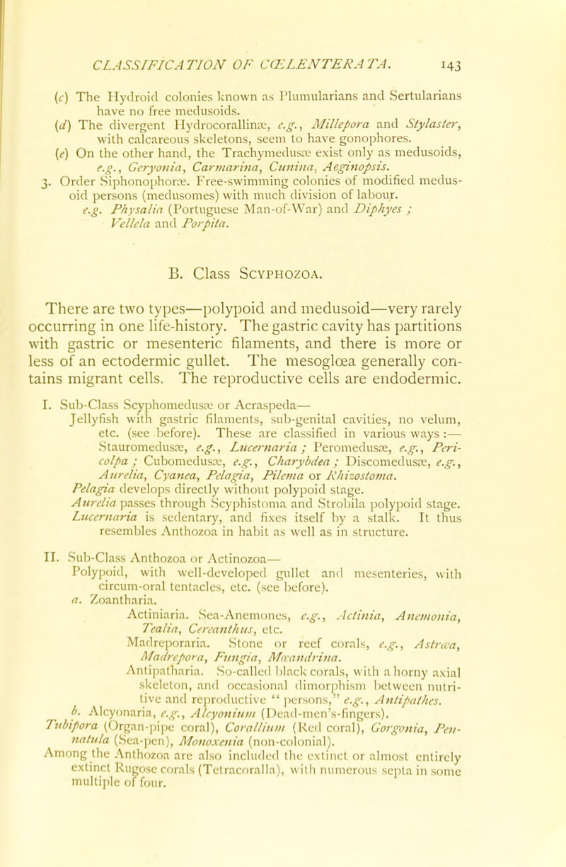 {c) The Hydroid colonies known as Plumularians and Sertularians have no free medusoids. ((/) The divergent Hydrocorallinw, e.g., Millepora and Stylaster, with calcareous skeletons, seem to have gonophores. ((?) On the other hand, the Trachymedusns exist only as medusoids, e.g., Gcryonia, Cariitarina, Cuniiia. Acginopsis. 3. Order Siphonophorre. Free-swimming colonies of modified medus- oid persons (medusomes) with much division of laliour. e.g. Physalia (Portuguese Man-of-War) and Diphyes ; Vellcla and Porpita. B. Class ScYPHOzoA. There are two types—polypoid and medusoid—very rarely occurring in one life-history. The gastric cavity has partitions with gastric or mesenteric filaments, and there is more or less of an ectodermic gullet. The mesogloea generally con- tains migrant cells. The reproductive cells are endodermic. I. Sub-Class Scyphomedusa; or Acraspeda— Jellyfish with gastric filaments, sub-genital cavities, no velum, etc. (see Ijefore). These are classified in various ways :— Stauromedusas, e.g., Liicernaria; Peromedusce, e.g., Peri- colpa ; Cubomedusce, e.g., Charybdea : Discomedusre, e.g., Aurelia, Cyanea, Pelagia, Pilema or Phizostoma. Pelagia develops directly without polypoid stage. Aurelia passes through .Scyphistoma and Strobila polypoid stage. Lucernaria is sedentary, and fixes itself by a stalk. It thus resembles Anthozoa in habit as well as in structure. II. Sub-Class Anthozoa or Actinozoa— Polypoid, with well-developed gullet and mesenteries, with circum-oral tentacles, etc. (see before). a. Zoantharia. Actiniaria. Sea-Anemones, e.g., Actinia, Anevwnia, Tealia, Cereanthus, etc. Madreporaria. Stone or reef corals, e.g., Aslnca, Madrcpora, Fuiigia, M<vandrina. Antipatharia. So-called black corals, with aliorny axial skeleton, and occasional dimorphism between inilri- tive and reproductive  ])ersons, e.g., Aiitipathes. b. Aicyonaria, e.g., Alcyoniuni (l)ead-meii's-fingers). Tnbipora (Organ-]ii]X' coral), Coial/iiim (Red coral), Gorgonia, Pen- natula (Sea-]ien), Monoxenia (non-colonial). Among the Anthozoa are also included the extinct or almost entirely extmct Rugose corals (Tetracoralla), with numerous septa in some multiple of four.