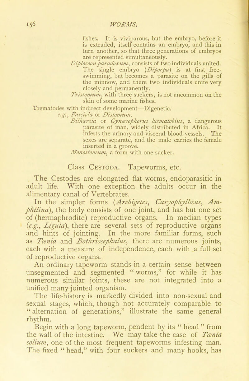 fishes. It is viviparous, but the embryo, before it is extruded, itself contains an embryo, and this in turn another, so that three generations of embryos are represented simultaneously. Diplozooiiparadoxuin, consists of two individuals united. The single embryo {Diporpa) is at first free- swimming, but becomes a parasite on the gills of the minnow, and there two individuals unite very closely and permanently. Tristoimim, with three suckers, is not uncommon on the skin of some marine fishes. Trematodes with indirect development—Digenetic. e.g., Fasciola or Distoinwn. Bilharzia or Gynacophofus lucDiatobiiis, a dangerous parasite of man, widely distributed in Africa. It infests the urinary and visceral blood-vessels. The sexes are separate, and the male carries the female inserted in a groove. Monostoinum, a form with one sucker. Class Cestod.a.. Tapeworms, etc. The Cestodes are elongated flat worms, endoparasitic in adult life. With one exception the adults occur in the alimentary canal of Vertebrates. In the simpler forms {Archigeies, Ca7yophyllceus, Ain- philina), the body consists of one joint, and has but one set of (hermaphrodite) reproductive organs. In median types {e.g., Ligula), there are several sets of reproductive organs and hints of jointing. In the more familiar forms, such as Tcenia and jBoihriocephalus, there are numerous joints, each with a measure of independence, each with a full set of reproductive organs. An ordinary tapeworm stands in a certain sense between unsegmented and segmented  worms, for while it has numerous similar joints, these are not integrated into a unified many-jointed organism. The life-history is markedly divided into non-sexual and sexual stages, which, though not accurately comparable to  alternation of generations, illustrate the same general rhythm. Begin with a long tapeworm, pendent by its  head  from the wall of the intestine. We may take the case of TcBtiia solium, one of the most frequent tapeworms infesting man. The fixed  head, with four suckers and many hooks, has
