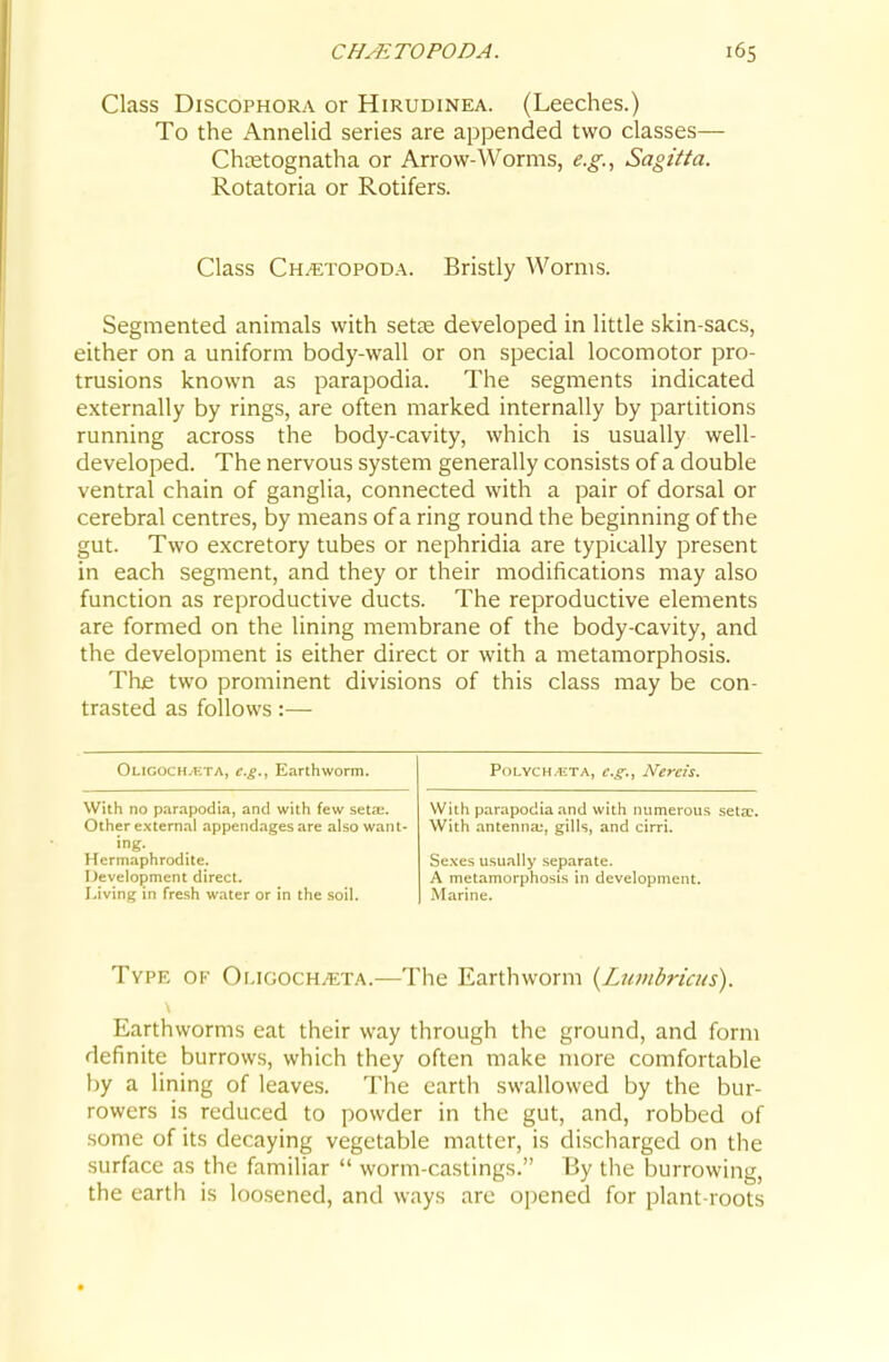 CHMTOPODA. Class DiscoPHORA or Hirudinea. (Leeches.) To the AnneUd series are appended two classes— Chcetognatha or Arrow-Worms, e.g.^ Sagitta. Rotatoria or Rotifers. Class Ch^topoda. Bristly Worms. Segmented animals with setas developed in little skin-sacs, either on a uniform body-wall or on special locomotor pro- trusions known as parapodia. The segments indicated externally by rings, are often marked internally by partitions running across the body-cavity, which is usually well- developed. The nervous system generally consists of a double ventral chain of ganglia, connected with a pair of dorsal or cerebral centres, by means of a ring round the beginning of the gut. Two excretory tubes or nephridia are typically present in each segment, and they or their modifications may also function as reproductive ducts. The reproductive elements are formed on the lining membrane of the body-cavity, and the development is either direct or with a metamorphosis. Thje two prominent divisions of this class may be con- trasted as follows:— Oligoch/ETA, e.g.. Earthworm. With no parapodia, and with few seta;. Other external appendages are also want- ing. Hermaphrodite. development direct. Living in fresh water or in the .soil. PoLYCH/ETA, e.g., Ncrcis. With parapodia and with numerous seta?. With antenna;, gills, and cirri. Se.\es usually separate. A metamorphosis in development. Marine. Type of Oligoch/ETA.—The Earthworm {Lumbricus). Earthworms eat their way through the ground, and form definite burrows, which they often make more comfortable by a lining of leaves. The earth swallowed by the bur- rowers is reduced to powder in the gut, and, robbed of some of its decaying vegetable matter, is discharged on the surface as the familiar  worm-castings. By the burrowing, the earth is loosened, and ways are opened for plant-roots