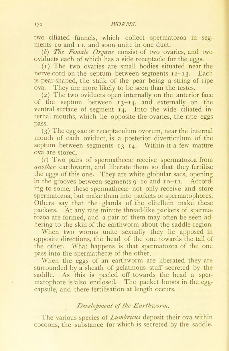 two ciliated funnels, which collect spermatozoa in seg- ments lo and II, and soon unite in one duct. {b) The Female 07-gans consist of two ovaries, and two oviducts each of which has a side receptacle for the eggs. (1) The two ovaries are small bodies situated near the nerve-cord on the septum between segments 12-13. Each is pear-shaped, the stalk, of the pear being a string of ripe ova. They are more likely to be seen than the testes. (2) The two oviducts open internally on the anterior face of the septum between 13-14, and externally on the ventral surface of segment 14. Into the wide ciliated in- ternal mouths, which lie opposite the ovaries, the ripe eggs pass. (3) The egg-sac or receptaculum ovorum, near the internal mouth of each oviduct, is a posterior diverticulum of the septum between segments 13-14. Within it a few mature ova are stored. {c) Two pairs of spermathecas receive spermatozoa from another earthworm, and liberate them so that they fertilise the eggs of this one. They are white globular sacs, opening in the grooves between segments 9-10 and lo-ii. Accord- ing to some, these spermathecse not only receive and store spermatozoa, but make them into packets or spermatophores. Others say that the glands of the clitellum make these packets. At any rate minute thread-like packets of sperma- tozoa are formed, and a pair of them may often be seen ad- hering to the skin of the earthworm about the saddle region. When two worms unite sexually they lie apposed in opposite directions, the head of the one towards the tail of the other. What happens is that spermatozoa of the one pass into the spermathecae of the other. When the eggs of an earthworm are liberated they are surrounded by a sheath of gelatinous stuff secreted by the saddle. As this is peeled off towards the head a sper- matophore is 'also enclosed. The packet bursts in the egg- capsule, and there fertilisation at length occurs. Developme7it of the Earthworm. The various species of Lumbricus deposit their ova within cocoons, the substance for which is secreted by the saddle.