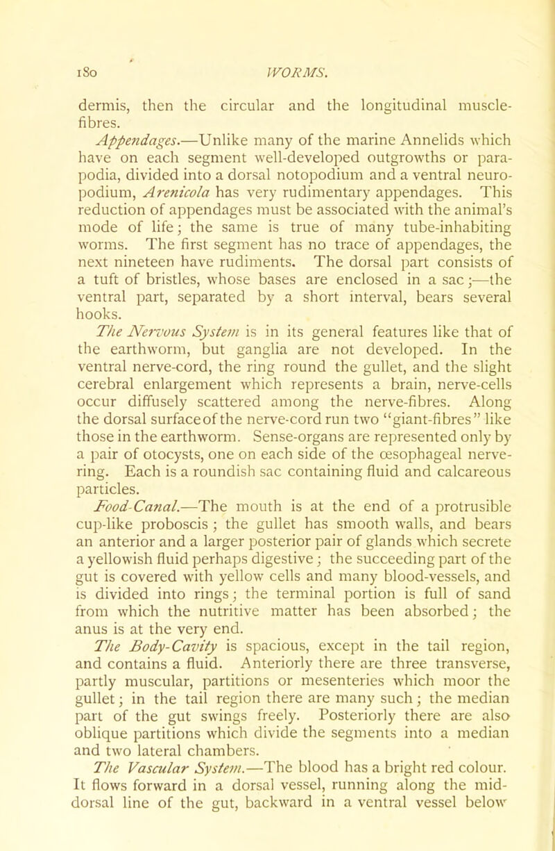 dermis, then the circular and the longitudinal muscle- fibres. AppeJidages.—Unlike many of the marine Annelids which have on each segment well-developed outgrowths or para- podia, divided into a dorsal notopodium and a ventral neuro- podium, Arenicola has very rudimentary appendages. This reduction of appendages must be associated with the animal's mode of life; the same is true of many tube-inhabiting worms. The first segment has no trace of appendages, the next nineteen have rudiments. The dorsal part consists of a tuft of bristles, whose bases are enclosed in a sac;—the ventral part, separated by a short interval, bears several hooks. The Nei'vous System is in its general features like that of the earthworm, but ganglia are not developed. In the ventral nerve-cord, the ring round the gullet, and the slight cerebral enlargement which represents a brain, nerve-cells occur diffusely scattered among the nerve-fibres. Along the dorsal surface of the nerve-cord run two giant-fibres like those in the earthworm. Sense-organs are represented only by a pair of otocysts, one on each side of the oesophageal nerve- ring. Each is a roundish sac containing fluid and calcareous particles. Food-Canal.—The mouth is at the end of a protrusible cup-like proboscis ; the gullet has smooth walls, and bears an anterior and a larger posterior pair of glands which secrete a yellowish fluid perhaps digestive; the succeeding part of the gut is covered with yellow cells and many blood-vessels, and is divided into rings; the terminal portion is full of sand from which the nutritive matter has been absorbed; the anus is at the very end. The Body-Cavity is spacious, except in the tail region, and contains a fluid. Anteriorly there are three transverse, partly muscular, partitions or mesenteries which moor the gullet; in the tail region there are many such; the median part of the gut swings freely. Posteriorly there are also oblique partitions which divide the segments into a median and two lateral chambers. The Vascular System.—The blood has a bright red colour. It flows forward in a dorsal vessel, running along the mid- dorsal line of the gut, backward in a ventral vessel below