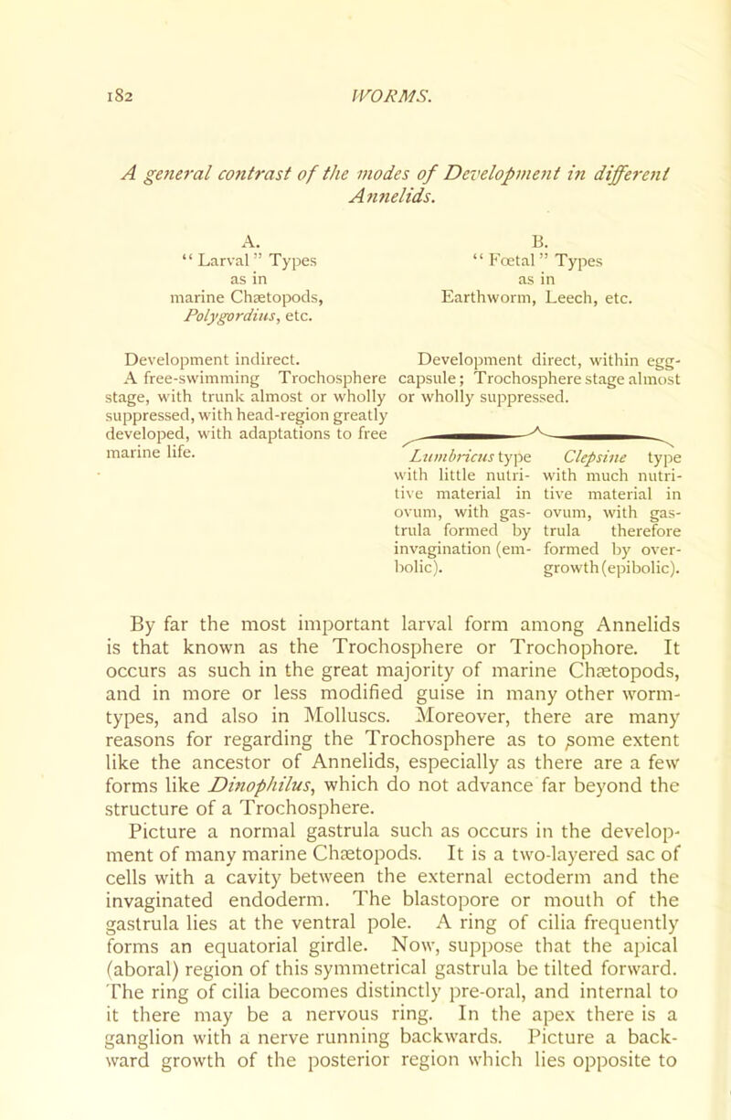 A general contrast of tlie modes of Development m different Annelids. A. B. '' Larval  Types  FcEtal Types as in as in marine Chatopods, Earthworm, Leech, etc. Polygordins, etc. Development indirect. A free-swimming Trochosphere stage, with trunk almost or wholly suppressed, with head-region greatly developed, with adaptations to free marine life. Development direct, within egg- capsule ; Trochosphere stage almost or wholly suppressed. Liimhricns type Clepsiiie type with little nutri- with much nutri- tive material in tive material in ovum, with gas- ovum, with gas- trula formed by trula therefore invagination (em- formed by over- bolic). growth (epibolic). By far the most important larval form among Annelids is that known as the Trochosphere or Trochophore. It occurs as such in the great majority of marine Chtetopods, and in more or less modified guise in many other worm- types, and also in Molluscs. Moreover, there are many reasons for regarding the Trochosphere as to ^ome extent like the ancestor of Annelids, especially as there are a few forms like Dinophilus, which do not advance far beyond the structure of a Trochosphere. Picture a normal gastrula such as occurs in the develop- ment of many marine Chsetopods. It is a two-layered sac of cells with a cavity between the e.xternal ectoderm and the invaginated endoderm. The blastopore or mouth of the gastrula lies at the ventral pole. A ring of cilia frequently forms an equatorial girdle. Now, suppose that the apical (aboral) region of this symmetrical gastrula be tilted forward. The ring of cilia becomes distinctly pre-oral, and internal to it there may be a nervous ring. In the apex there is a ganglion with a nerve running backwards. Picture a back- ward growth of the posterior region which lies opposite to