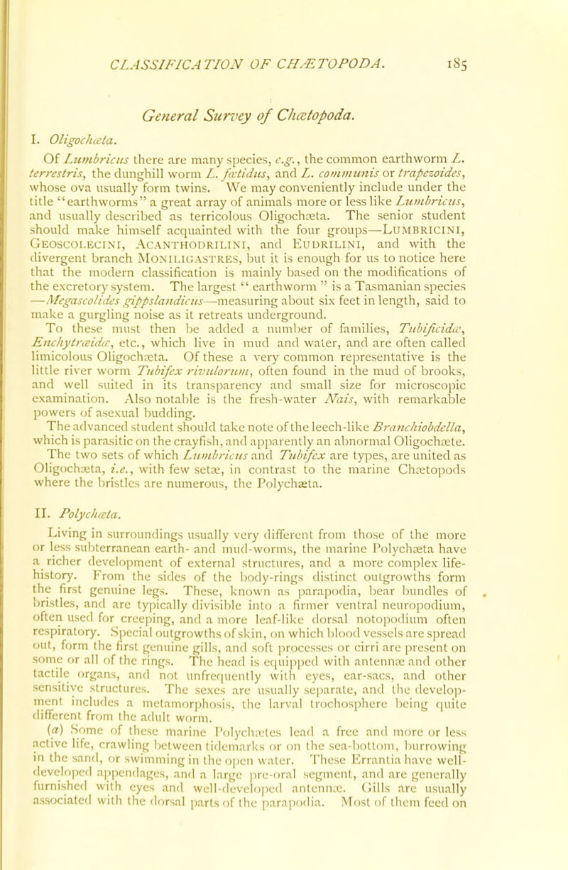 General Survey of Chcctopoda. I. Oligochicla. Of Lumbricus there are many species, e.g., the common earthworm Z. terrestris, the dunghill worm L. fivtidus, and L. communis or trapezoides, whose ova usually form twins. We may conveniently include under the title earthworms a great array of animals more or less like Lumbricus, and usually described as terricolous Oligochceta. The senior student should make himself acquainted with the four groups—-Lumbricini, Geoscoi.ecini, Acanthodrilini, and Euurilini, and with the divergent branch MoNiUGASTRES, but it is enough for us to notice here that the modern classification is mainly based on the modifications of the excretory system. The largest  earthworm  is a Tasmanian species — MegascoUdcs gippslandicits—measuring alDout six feet in length, said to make a gurgling noise as it retreats underground. To these must then be added a number of families, Tubificidic, Enchytneidic, etc., which live in mud and water, and are often called limicolous Oligochreta. Of these a very common representative is the little river worm Tnbifcx ri7;uloruin, often found in the mud of brooks, and well suited in its transparency and small size for microscopic examination. Also notable is the fresh-water Nais, with remarkaljle powers of asexual budding. The advanced student should take note of the leech-like Branchiobdclla, which is parasitic on the crayfish, and apparently an abnormal Oligochtete. The two sets of which Liunbricus and Tubifcx are ty]3es, are united as Oligochceta, i.e., with few seta;, in contrast to the marine Chxtopods where the bristles are numerous, the Polychasta. II. Polychala. Living in surroundings usually very different from those of the more or less subterranean earth- and mud-worms, the marine Polychteta have richer development of external structures, and a more complex life- history. From the sides of the body-rings distinct outgrowths form the first genuine legs. These, known as parapodia, bear bundles of bristles, and are typically divisible into a firmer ventral neuropodium, often used for creeping, and a more leaf-like dorsal notopodium often respiratory. Special outgrowths of skin, on which lilood vessels are spread out, form the first genuine gills, and soft processes or cirri are present on some or all of the rings. The head is equipped with antenna.' and other tactile organs, and not unfref|uently with eyes, ear-sacs, and other sensitive structures. The sexes are usually separate, and the develop- rnent includes a metamorpliosis. the larval Irochospherc being (ptite different from the adult worm. (a) Some of these marine I'olycluvtes lead a free and more or less active life, crawling between tideniarks or on (he sea-bottom, burrr)wing in the sand, or swimming in the open water. These Errantia have well- developed appendages, and a large |)re-oral segment, and are generally furnished with eyes and well-(levclo])ed antennx. Gills are usually associated with the dorsal parts of the parapodia. Most of them feed on