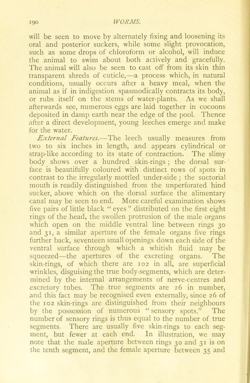 will be seen to move by alternately fixing and loosening its oral and posterior suckers, while some slight provocation, such as some drops of chloroform or alcohol, will induce the animal to swim about both actively and gracefully. The animal will also be seen to cast off from its skin thin transparent shreds of cuticle,—a process which, in natural conditions, usually occurs after a heavy meal, when the animal as if in indigestion spasmodically contracts its body, or rubs itself on the stems of water-plants. As we shall afterwards see, numerous eggs are laid together in cocoons deposited in damp earth near the edge of the pool. Thence after a direct development, young leeches emerge and make for the water. Extertial Features.—The leech usually measures from two to six inches in length, and appears cylindrical or strap-like according to its state of contraction. The slimy body shows over a hundred skin-rings; the dorsal sur- face is beautifully coloured with distinct rows of spots in contrast to the irregularly mottled under-side ; the suctorial mouth is readily distinguished from the unperforated hind sucker, above which on the dorsal surface the alimentary canal may be seen to end. More careful examination shows five pairs of little black  eyes  distributed on the first eight rings of the head, the swollen protrusion of the male organs which open on the middle ventral line between rings 30 and 31, a similar aperture of the female organs five rings further back, seventeen small openings down each side of the ventral surface through which a whitish fluid may be squeezed—the apertures of the excreting organs. The skin-rings, of which there are 102 in all, are superficial wrinkles, disguising the true body-segments, which are deter- mined by the internal arrangements of nerve-centres and excretory tubes. The true segments are 26 in number, and this fact may be recognised even externally, since 26 of the 102 skin-rings are distinguished from their neighbours by the possession of numerous  sensory spots. The number of sensory rings is thus equal to the number of true segments. There are usually five skin-rings to each seg- ment, but fewer at each end. In illustration, we may fiote that the male aperture between rings 30 and 31 is on the tenth segment, and the female aperture between 35 and