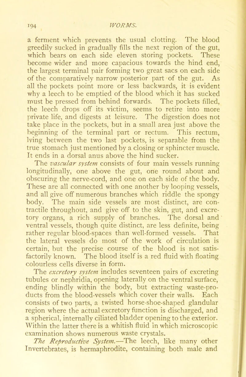 a ferment which prevents the usual clotting. The blood greedily sucked in gradually fills the next region of the gut, which bears on each side eleven storing pockets. These become wider and more capacious towards the hind end, the largest terminal pair forming two great sacs on each side of the comparatively narrow posterior part of the gut. As all the pockets point more or less backwards, it is evident why a leech to be emptied of the blood which it has sucked must be pressed from behind forwards. The pockets filled, the leech drops off its victim, seems to retire into more private life, and digests at leisure. The digestion does not take place in the pockets, but in a small area just above the beginning of the terminal part or rectum. This rectum, Iving between the two last pockets, is separable from the true stomach just mentioned by a closing or sphincter muscle. It ends in a dorsal anus above the hind sucker. The vascular system consists of four main vessels running longitudinally, one above the gut, one round about and obscuring the nerve-cord, and one on each side of the body. These are all connected with one another by looping vessels, and all give off numerous branches which riddle the spongy body. The main side vessels are most distinct, are con- tractile throughout, and give off to the skin, gut, and excre- tory organs, a rich supply of branches. The dorsal and ventral vessels, though quite distinct, are less definite, being rather regular blood-spaces than well-formed vessels. That the lateral vessels do most of the work of circulation is certain, but the precise course of the blood is not satis- factorily known. The blood itself is a red fluid with floating colourless cells diverse in form. The excretory system includes seventeen pairs of excreting tubules or nephridia, opening laterally on the ventral surface, ending blindly within the body, but extracting waste-pro- ducts from the blood-vessels which cover their walls. Each consists of two parts, a twisted horse-shoe-shaped glandular region where the actual excretory function is discharged, and a spherical, internally ciliated bladder opening to the exterior. Within the latter there is a whitish fluid hi which microscopic examination shows numerous waste crystals. The ReprodKctive System.—The leech, like many other Invertebrates, is hermaphrodite, containing both male and
