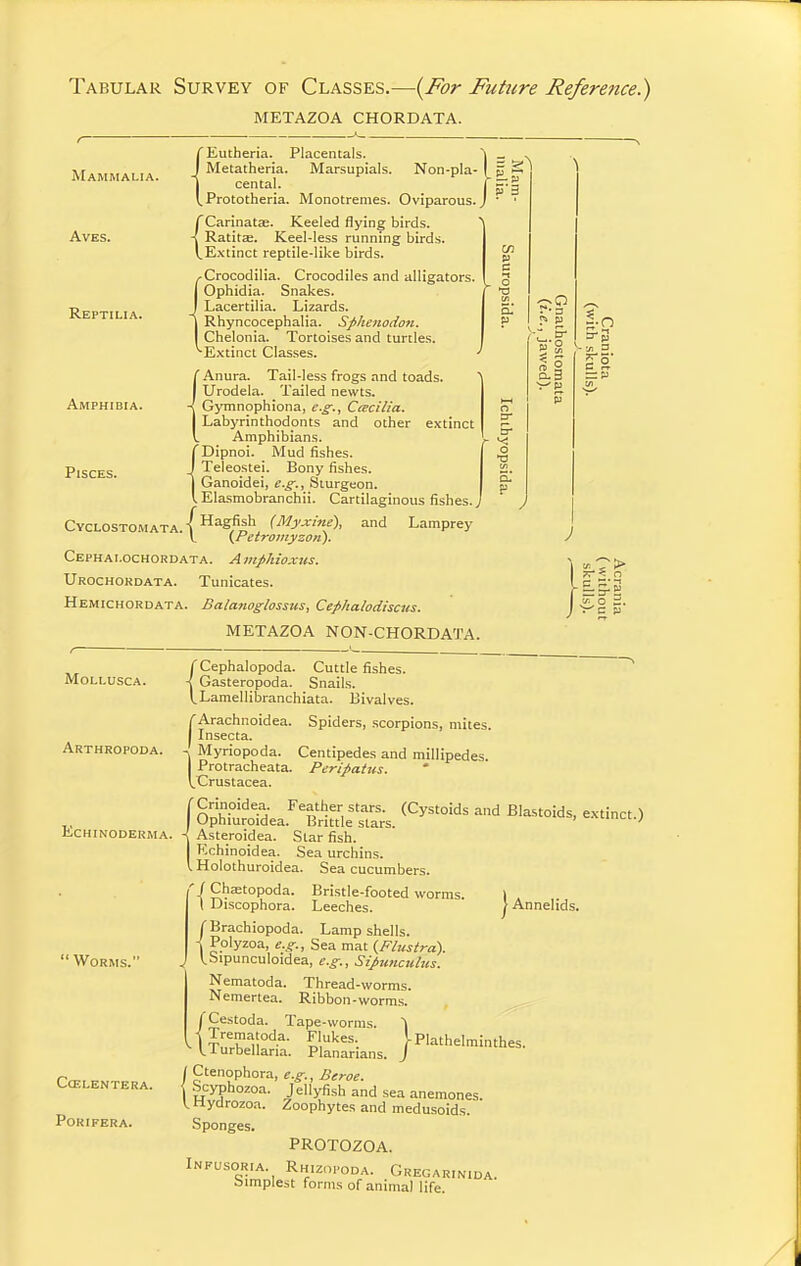 Tabular Survey of Classes.—{For Future Refere7ice.) METAZOA CHORDATA. Mammalia. AVES. Reptilia. Amphibia. Pisces. Cyclosto.mata (Eutheria. Placentals. Metatheria. Marsupials. Non-pla- (_ 5 S cental. Prototheria. Monotreraes. Oviparous. rCarinatse. Keeled flying birds, -i Ratitae. Keel-less running birds. VE.vtinct reptile-like birds. ^Crocodilia. Crocodiles and alligators, j Ophidia. Snakes. J Lacertilia. Lizards. I Rhyncocephalia. Sphenodon. I Chelonia. Tortoises and turtles. ^Extinct Classes. ( Anura. Tail-less frogs and toads. I Urodela. Tailed newts. -( Gymnophiona, e.g., Ccecilia. I Labyrinthodpnts and other extinct I. Amphibians. TDipnoi. Mud fishes. J Teleostei. Bony fishes. j Ganoidei, e.g.. Sturgeon. lEla.smobranchii. Cartilaginous fishes., i Hagfish (My.vine), and Lamprey I {Petroinyzon). Cephai.ochordata. Amphio.xus. Urochordata. Tunicates. Hemichordata. Balanoglossus, Cephalodiscus. METAZOA NON-CHORDATA. MOLLUSCA. Arthropoda. ECHINODEKMA r Cephalopoda. Cuttle fishes. \ Gasteropoda. Snails. tLamellibranchiata. Bivalves. {Arachnoidea. Spiders, scorpions, mites. I Insecta. Myriopoda. Centipedes and millipedes. Protracheata. Peripatus. VCrustacea. [nn?°'''(Cystoidsand Blastoids, extinct.) I Ophiuroidea. Brittle stars. ' X Asteroidea. Star fish. Kchinoidea. Sea urchins. I Holothuroidea. Sea cucumbers. /'f Ch^topoda. 1 Discophora.  Worms. Bristle-footed worms. Leeches. (Brachiopoda. Lamp shells. \ Polyzoa, e.g.. Sea mat {Flustra). (.Sipunculoidea, f.^., I Annelids. Nematoda. Nemertea. /'Cestoda. Tape-worms. \ Trematoda. Flukes. ITurbellaria. Planarians. CCELENTERA. PORIFERA. Sipimculiis. Thread-worms. Ribbon-worms. j-Plathelminthes. ( Ctenophora, e.g., Beroe. \ -^cyphozoa. Jellyfish and sea anemones. lHydrozo.1. Zoophytes and medusoids. Sponges. PROTOZOA. INFU.SORIA. RhizoPODA. GregarinIDA. Simplest forms of animal life.