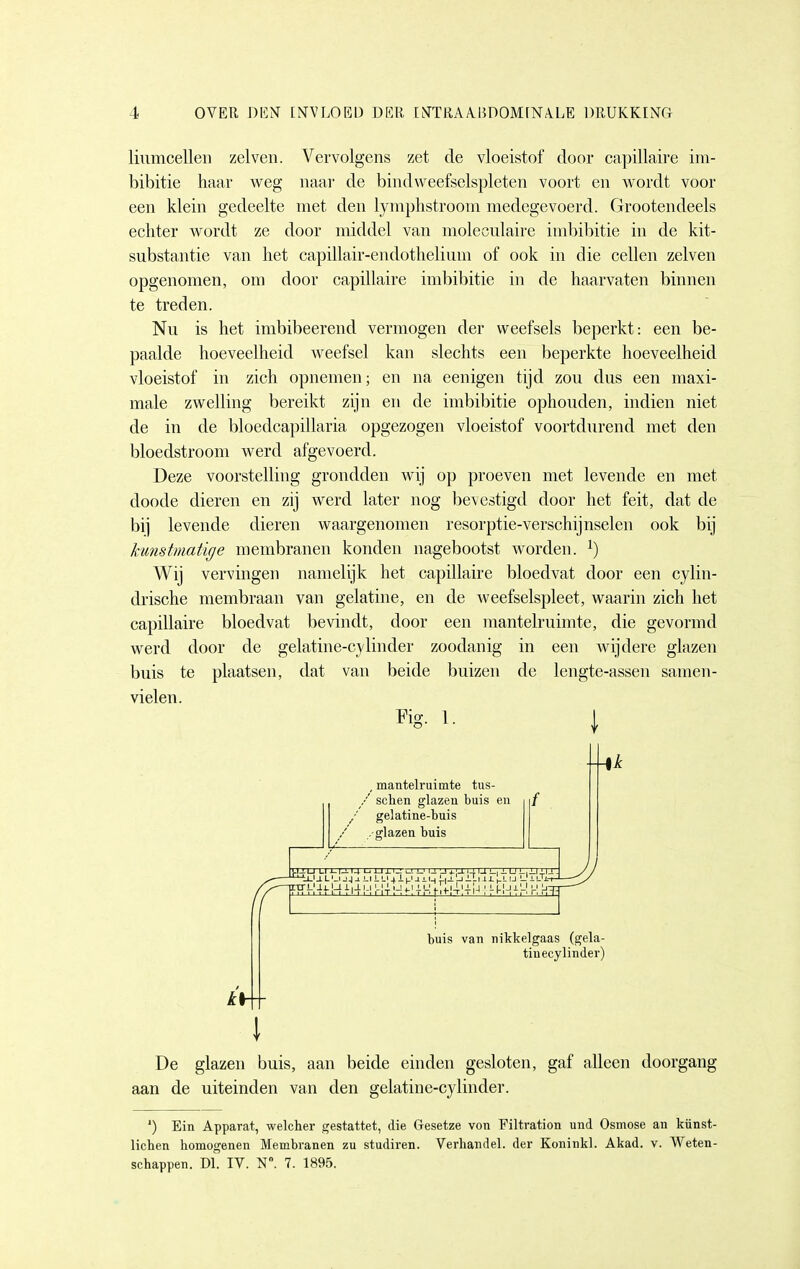 liumcellei) zei ven. Vervolgens zet de vloeistof door capillaire im- bibitie haar weg naar de bindweefselspleten voort en w^ordt voor een klein gedeelte met den lymphstroom medegevoerd. Grootendeels echter wordt ze door middel van moleculaire imbibitie in de kit- substantie van het capillair-endothelium of ook in die cellen zeiven opgenomen, om door capillaire imbibitie in de haarvaten binnen te treden. Nu is het imbibeerend vermogen der weefsels beperkt: een be- paalde hoeveelheid weefsel kan slechts een beperkte hoeveelheid vloeistof in zich opnemen; en na eenigen tijd zou dus een maxi- male zwelling bereikt zijn en de imbibitie ophouden, indien niet de in de bloedcapillaria opgezogen vloeistof voortdurend met den bloedstroom werd afgevoerd. Deze voorstelling grondden wij op proeven met levende en met doode dieren en zij werd later nog bevestigd door het feit, dat de bi] levende dieren waargenomen resorptie-verschijnselen ook bij kunstmatige membranen konden nagebootst worden. ^) Wij vervingen namelijk het capillaire bloedvat door een cylin- drische membraan van gelatine, en de weefselspleet, waarin zich het capillaire bloedvat bevindt, door een mantelruimte, die gevormd werd door de gelatine-cylinder zoodanig in een Avijdere glazen buis te plaatsen, dat van beide buizen de lengte-assen samen- vielen. \ Fig. 1. ^1— , mantelruimte tus- / sclien glazen buis en gelatine-buis . glazen buis .1-1U LI 1-1-114 L'l-IJ-i-! 1-1 1-1 '-1 4.1-1 Ji l-L 1_| i-U !-|.LI ' II J-U LLl J J -11-11 LI 4 J-J 1M l-l-l '-1 iTi 1J. Ll ij L.' iLTtr xrL;iL|ai|4u LH utiiü .Uitlij.; iH-ii^ v\ buis van nikkelgaas (gela- tinecylinder) \ De glazen buis, aan beide einden gesloten, gaf alleen doorgang aan de uiteinden van den gelatine-cylinder. ') Ein Apparat, welcher gestattet, die Gesetze von Filtration und Osmose an kiinst- lichen homogenen Membranen zu studiren. Verhandel, der Koninkl. Akad. v. Weten- schappen. Dl. IV. N. 7. 1895.
