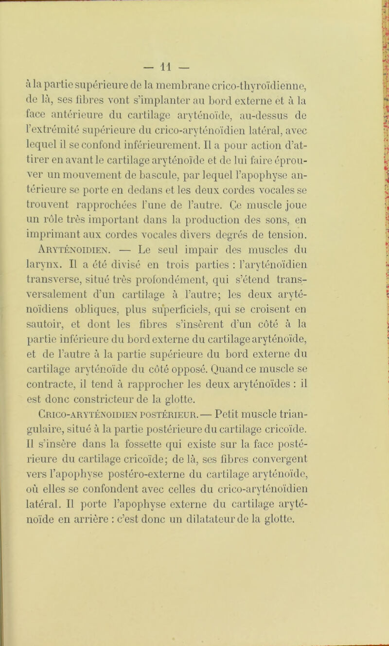 à la partie supérieure de la membrane crico-tliyroïdieime, de là, ses libres vont s’implanter au bord externe et à la face antérieure du cartilage aryténoïtle, au-dessus de l’extrémité supérieure du crico-aryténoïdien latéral, avec lequel il se confond inférieurement. Il a pour action d’at- tirer en avant le cartilage aryténoïde et de lui faire éprou- ver un mouvement de bascule, par lequel l’apophyse an- térieure se porte en dedans et les deux cordes vocales se trouvent rapprochées l’une de l’autre. C-c muscle joue un rôle très important dans la production des sons, en imprimant aux cordes vocales divers degrés de tension. Aryténoidien. — Le seul impair des muscles du larynx. Il a été divisé en trois parties : l’aryténoïdien transverse, situé très profondément, qui s’étend trans- versalement d’un cartilage à l’autre; les deux aryté- noïdiens obliques, plus superficiels, qui se croisent en sautoir, et dont les fibres s’insèrent d’un côté à la partie inférieure du bord externe du cartilage aryténoïde, et de l’autre à la partie supérieure du bord externe du cartilage aryténoïde du côté opposé. Quand ce muscle se contracte, il tend à rapprocher les deux aryténoïdes : il est donc constricteur de la glotte. Grico-arytéxoidien postérieur.— Petit muscle trian- gulaire, situé à la partie postérieure du cartilage cricoïde. Il s’insère dans la fossette qui existe sur la face posté- rieure du cartilage cricoïde; de là, scs fibres convergent vers l’apophyse postéro-externe du cartilage aryténoïde, oïl elles se confondent avec celles du crico-aryténoïdien latéral. Il porte l’apophyse externe du cartilage aryté- noïde en arrière : c’est donc un dilatateur de la glotte.