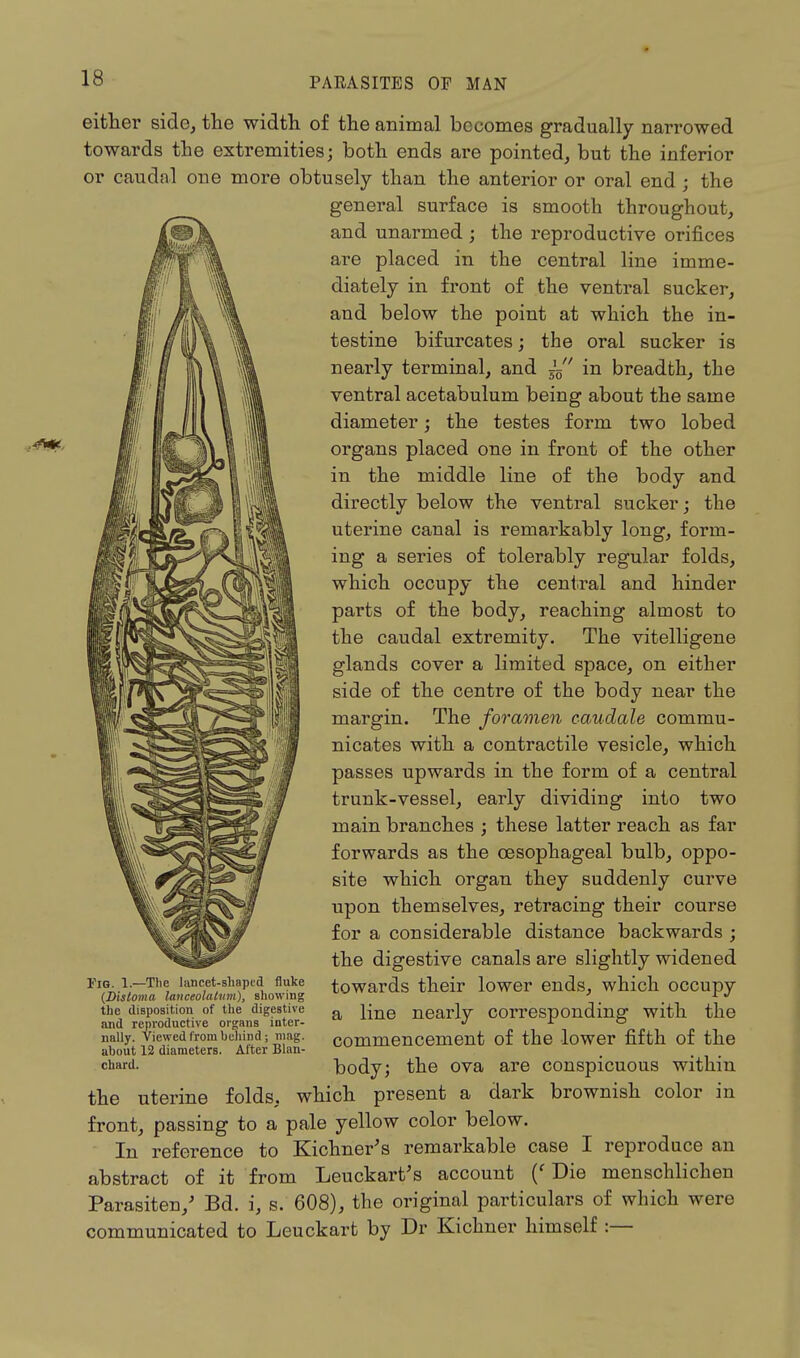 either side, the width of the animal becomes gradually narrowed towards the extremities; both ends are pointed, but the inferior or caudal one more obtusely than the anterior or oral end ; the general surface is smooth throughout, and unarmed ; the reproductive orifices are placed in the central line imme- diately in front of the ventral sucker, and below the point at which the in- testine bifurcates; the oral sucker is nearly terminal, and ~ in breadth, the ventral acetabulum being about the same diameter; the testes form two lobed organs placed one in front of the other in the middle line of the body and directly below the ventral sucker; the uterine canal is remarkably long, form- ing a series of tolerably regular folds, which occupy the central and hinder parts of the body, reaching almost to the caudal extremity. The vitelligene glands cover a limited space, on either side of the centre of the body near the margin. The foramen eaudale commu- nicates with a contractile vesicle, which passes upwards in the form of a central trunk-vessel, early dividing into two main branches ; these latter reach as far forwards as the oesophageal bulb, oppo- site which organ they suddenly curve upon themselves, retracing their course for a considerable distance backwards ; the digestive canals are slightly widened towards their lower ends, which occupy a line nearly corresponding with the commencement of the lower fifth of the body; the ova are conspicuous within the uterine folds, which present a dark brownish color in front, passing to a pale yellow color below. In reference to Kichner's remarkable case I reproduce an abstract of it from Leuckart's account ('Die menschlichen Parasiten/ Bd. i, s. 608), the original particulars of which were communicated to Leuckart by Dr Kichner himself :— Tig. 1.—The lancet-shaped fluke (Disloma lanceolatvm), Bhowing the disposition of the digestive and reproductive organs inter- nally. Viewed from behind; mag. about 12 diameters. After Blan- chard.