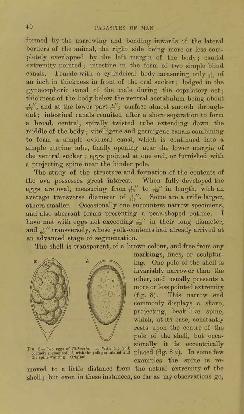 formed by the narrowing and bending inwards of the lateral borders of the animal, the right side being more or less com- pletely overlapped by the left margin of the body; caudal extremity pointed j intestine in the form of two simple blind canals. Female with a cylindrical body measuring only ~ of an inch in thickness in front of the oral sucker; lodged in the gyneecophoric canal of the male during the copulatory act; thickness of the body below the ventral acetabulum being about and at the lower part — surface almost smooth through- out ; intestinal canals reunited after a short separation to form a broad, central, spirally twisted tube extending down the middle of the body; vitelligene and germigene canals combining to form a simple oviducal canal, which is continued into a simple uterine tube, finally opening near the lower margin of the ventral sucker; eggs pointed at one end, or furnished with a projecting spine near the hinder pole. The study of the structure and formation of the contents of the ova possesses great interest. When fully developed the eggs are oval, measuring from ~ to in length, with an average transverse diameter of 3^. Some are a trifle larger, others smaller. Occasionally one encounters narrow specimens, and also aberrant forms presenting a pear-shaped outline. I have met with eggs not exceeding — ' in their long diameter, and gig transversely, whose yolk-contents had already arrived at an advanced stage of segmentation. The shell is transparent, of a brown colour, and free from any markings, lines, or sculptur- ing. One pole of the shell is invariably narrower than the other, and usually presents a more or less pointed extremity (fig. 8). This narrow end commonly displays a sharp, projecting, beak-like spine, which, at its base, constantly rests upon the centre of the pole of the shell, but occa- sionally it is eccentrically Fig. 8.—Two eggs of Bilharzia. a. With the yolk coarsely segmented; b, with the yolk granulated and placed, (tig. O a). In SOme I6W the spine wanting. Original. , , examples the spine is re- moved to a little distance from the actual extremity of the shell; but even in these instances, so far as my observations go,