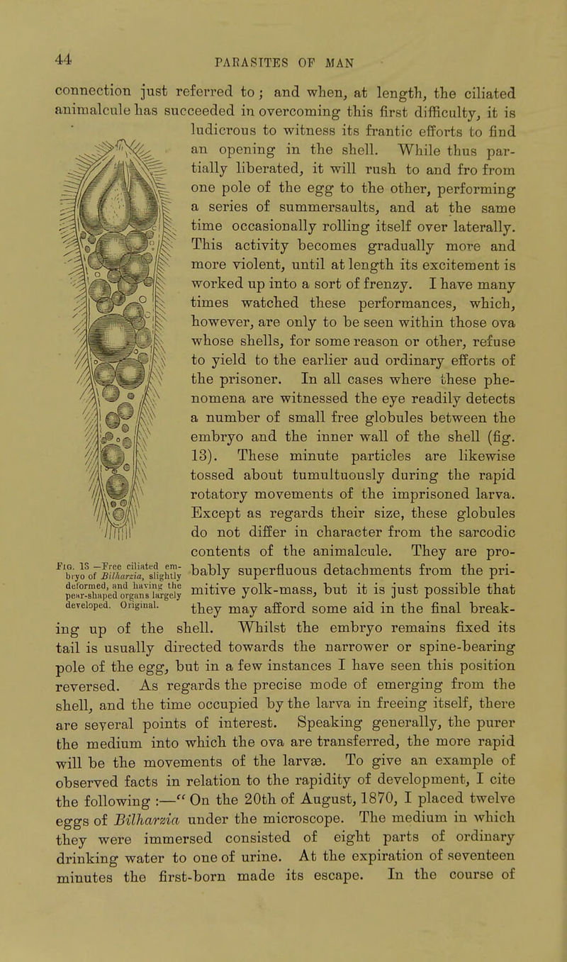 connection just referred to; and when, at length, the ciliated animalcule has succeeded in overcoming this first difficulty, it is ludicrous to witness its frantic efforts to find an opening in the shell. While thus par- tially liberated, it will rush to and fro from one pole of the egg to the other, performing a series of summersaults, and at the same time occasionally rolling itself over laterally. This activity becomes gradually more and more violent, until at length its excitement is worked up into a sort of frenzy. I have many times watched these performances, which, however, are only to be seen within those ova whose shells, for some reason or other, refuse to yield to the earlier aud ordinary efforts of the prisoner. In all cases where these phe- nomena are witnessed the eye readily detects a number of small free globules between the embryo and the inner wall of the shell (fig. 13). These minute particles are likewise tossed about tumultuously during the rapid rotatory movements of the imprisoned larva. Except as regards their size, these globules do not differ in character from the sarcodic contents of the animalcule. They are pro- Fl^VoVIXSatB?ighay bably superfluous detachments from the pri- tSSfi&lSfi&iiS mitive yolk-mass, but it is just possible that developed, original. ttey may affora. some aid in the final break- ing up of the shell. Whilst the embryo remains fixed its tail is usually directed towards the narrower or spine-bearing pole of the egg, but in a few instances I have seen this position reversed. As regards the precise mode of emerging from the shell, and the time occupied by the larva in freeing itself, there are several points of interest. Speaking generally, the purer the medium into which the ova are transferred, the more rapid will be the movements of the larvae. To give an example of observed facts in relation to the rapidity of development, I cite the following :— On the 20th of August, 1870, I placed twelve eggs of Bilharzia under the microscope. The medium in which they were immersed consisted of eight parts of ordinary drinking water to one of urine. At the expiration of seventeen minutes the first-born made its escape. In the course of