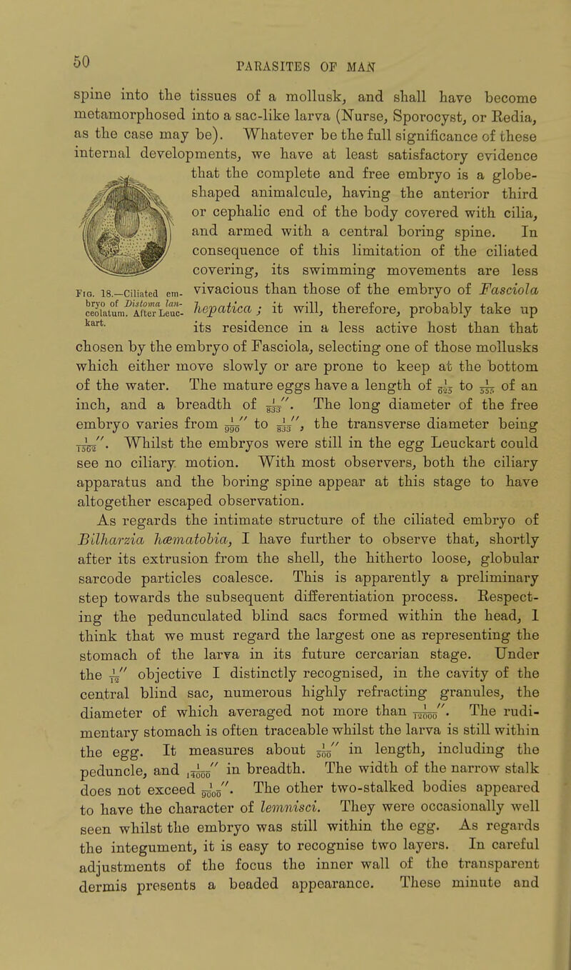 spine into the tissues of a mollusk, and shall have become metamorphosed into a sac-like larva (Nurse, Sporocyst, or Redia, as the case may be). Whatever be the full significance of these internal developments, we have at least satisfactory evidence that the complete and free embryo is a globe- shaped animalcule, having the anterior third or cephalic end of the body covered with cilia, and armed with a central boring spine. In consequence of this limitation of the ciliated covering, its swimming movements are less fig. i8.-cniated em- vivacious than those of the embryo of Fasciola Siatl^Sriiut- hepatica; it will, therefore, probably take up kart- its residence in a less active host than that chosen by the embryo of Fasciola, selecting one of those mollusks which either move slowly or are prone to keep at the bottom of the water. The mature eggs have a length of B^ to ^ of an inch, and a breadth of ggg.. The long diameter of the free embryo varies from ~ to ggg, the transverse diameter being tsW• Whilst the embryos were still in the egg Leuckart could see no ciliary, motion. With most observers, both the ciliary apparatus and the boring spine appear at this stage to have altogether escaped observation. As regards the intimate structure of the ciliated embryo of Bilharzia hcematohia, I have further to observe that, shortly after its extrusion from the shell, the hitherto loose, globular sarcode particles coalesce. This is apparently a preliminary step towards the subsequent differentiation process. Respect- ing the pedunculated blind sacs formed within the head, 1 think that we must regard the largest one as representing the stomach of the larva in its future cercarian stage. Under the objective I distinctly recognised, in the cavity of the central blind sac, numerous highly refracting granules, the diameter of which averaged not more than j^mo'. The rudi- mentary stomach is often traceable whilst the larva is still within the egg. It measures about in length, including the peduncle, and ' in breadth. The width of the narrow stalk does not exceed ^o5. The other two-stalked bodies appeared to have the character of lemnisci. They were occasionally well seen whilst the embryo was still within the egg. As regards the integument, it is easy to recognise two layers. In careful adjustments of the focus the inner wall of the transparent dermis presents a beaded appearance. These minute and