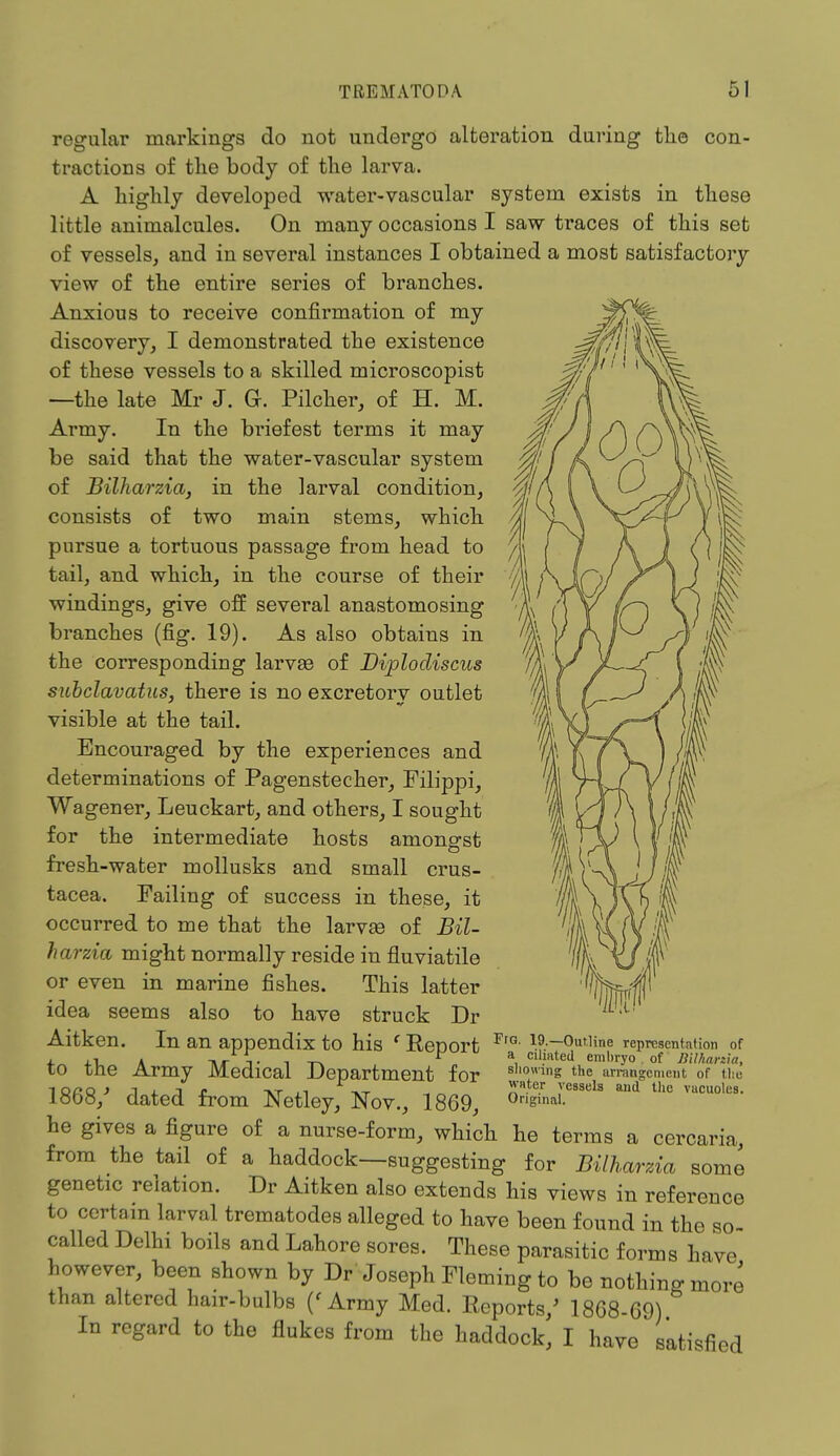 regular markings do not undergo alteration during the con- tractions of the body of the larva. A highly developed water-vascular system exists in these little animalcules. On many occasions I saw traces of this set of vessels, and in several instances I obtained a most satisfactory view of the entire series of branches. Anxious to receive confirmation of my discovery, I demonstrated the existence of these vessels to a skilled microscopist —the late Mr J. G. Pilcher, of H. M. Army. In the briefest terms it may be said that the water-vascular system of Bilharzia, in the larval condition, consists of two main stems, which pursue a tortuous passage from head to tail, and which, in the course of their windings, give off several anastomosing branches (fig. 19). As also obtains in the corresponding larvas of Diplodiscus subclavatus, there is no excretorv outlet visible at the tail. Encouraged by the experiences and determinations of Pagenstecher, Filippi, Wagener, Leuckart, and others, I sought for the intermediate hosts amongst fresh-water mollusks and small Crus- tacea. Failing of success in these, it occurred to me that the larvas of Bil- harzia might normally reside in fluviatile or even in marine fishes. This latter idea seems also to have struck Dr Aitken. In an appendix tO his ' ReDOrt Fra ^.--Outline representation of j ■ r » ,r t. , _ ^ a c^ted embryo . of Bilharzia, to tne Army Medical Department for sll0wing the arrangement of the 1QAQ > 1 i. J £ vr ii r,T „ *'H.te.r vessels and the vacuoles. l«o«, dated from Netley, Nov., 1869, 0ris^- he gives a figure of a nurse-form, which he terms a cercaria, from the tail of a haddock—suggesting for Bilharzia some genetic relation. Dr Aitken also extends his views in reference to certain larval trematodes alleged to have been found in the so- called Delhi boils and Lahore sores. These parasitic forms have however, been shown by Dr Joseph Fleming to be nothing more than altered hair-bulbs ('Army Med. Reports » 1868 69) In regard to the flukes from the haddock, I have satisfied