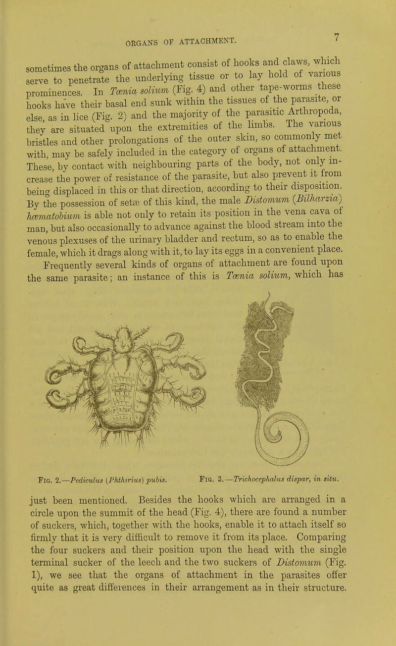 ORGANS OF ATTACHMENT. sometimes the organs of attachment consist of hooks and claws, which serve to penetrate the underlying tissue or to lay hold of various prominences. In Tcenia solium (Fig. 4) and other tape-worms these hooks have their basal end sunk within the tissues of the parasite or else, as in lice (Fig. 2) and the majority of the parasitic Arthropoda, they are situated upon the extremities of the limbs. The various bristles and other prolongations of the outer skin, so commonly met witli may be safely included in the category of organs of attachment. These, by contact with neighbouring parts of the body, not only in- crease the power of resistance of the parasite, but also prevent it from beina displaced in this or that direction, according to their disposition. By the possession of sefee of this kind, the male Distomum (Bilharzia) haematobium is able not only to retain its position in the vena cava of man, but also occasionally to advance against the blood stream into the venous plexuses of the urinary bladder and rectum, so as to enable the female, which it drags along with it, to lay its eggs in a convenient place. Frequently several kinds of organs of attachment are found upon the same parasite; an instance of this is Tcenia solium, which has Fig. 2.—Pccliculus (Phthirius) pubis. Fig. 3.—Trichocephalus dispar, in situ. just been mentioned. Besides the hooks which are arranged in a circle upon the summit of the head (Fig. 4), there are found a number of suckers, which, together with the hooks, enable it to attach itself so firmly that it is very difficult to remove it from its place. Comparing the four suckers and their position upon the head with the single terminal sucker of the leech and the two suckers of Distomum (Fig. 1), we see that the organs of attachment in the parasites offer quite as great differences in their arrangement as in their structure.