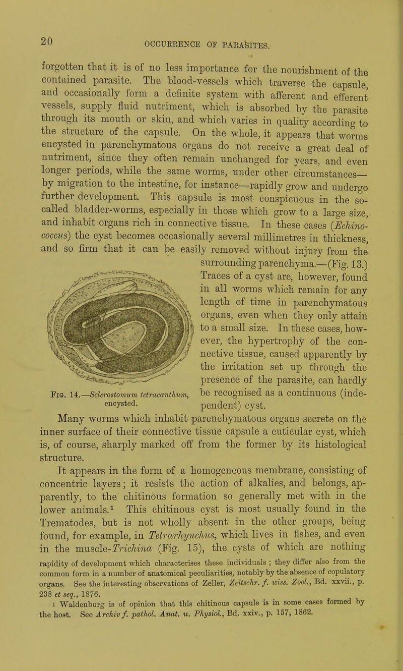 forgotten that it is of no less importance for the nourishment of the contained parasite. The hlood-vessels which traverse the capsule, and occasionally form a definite system with afferent and efferent vessels, supply fluid nutriment, which is ahsorbed by the parasite through its mouth or skin, and which varies in quality according to the structure of the capsule. On the whole, it appears that worms encysted in parenchymatous organs do not receive a great deal of nutriment, since they often remain unchanged for years, and even longer periods, while the same worms, under other circumstances— by migration to the intestine, for instance—rapidly grow and undergo further development. This capsule is most conspicuous in the so- called bladder-worms, especially in those which grow to a large size, and inhabit organs rich in connective tissue. In these cases (Echino- coccus) the cyst becomes occasionally several millimetres in thickness, and so firm that it can be easily removed without injury from the surrounding parenchyma.—(Fig. 13.) Traces of a cyst are, however, found in all worms which remain for any length of time in parenchymatous organs, even when they only attain to a small size. In these cases, how- ever, the hypertrophy of the con- nective tissue, caused apparently by the irritation set up through the presence of the parasite, can hardly be recognised as a continuous (inde- pendent) cyst. Many worms which inhabit parenchymatous organs secrete on the inner surface of their connective tissue capsule a cuticular cyst, which is, of course, sharply marked off from the former by its histological structure. It appears in the form of a homogeneous membrane, consisting of concentric layers; it resists the action of alkalies, and belongs, ap- parently, to the chitinous formation so generally met with in the lower animals.1 This chitinous cyst is most usually found in the Trematodes, but is not wholly absent in the other groups, being found, for example, in Tetrarhynchus, which lives in fishes, and even in the muscle-Trichina (Fig. 15), the cysts of which are nothing rapidity of development which characterises these individuals ; they differ also from the common form in a number of anatomical peculiarities, notably by the absence of copulatory organs. See the interesting observations of Zeller, Zntsrhr. f. wiss. Zool., Bd. xxvii., p. 238 et seq., 1876. i Waldenburg is of opinion that this chitinous capsule is in some cases formed by the host. See Archivf. pathol. Anat. u. Physiol., Bd. xxiv., p. 157, 1862. Fig. 14. -Sclerostomum tetracanthum, encysted.