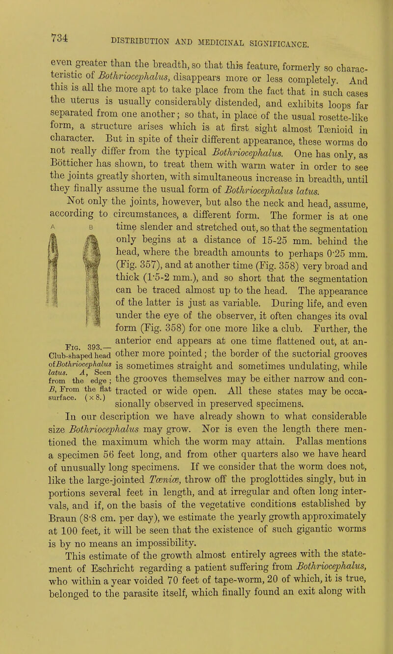 even greater than the breadth, so that this feature, formerly so charac- teristic of Bothriocephalus, disappears more or less completely. And this is all the more apt to take place from the fact that in such cases the uterus is usually considerably distended, and exhibits loops far separated from one another; so that, in place of the usual rosette-like form, a structure arises which is at first sight almost Taenioid in character. But in spite of their different appearance, these worms do not really differ from the typical Bothriocephalus. One has only, as Botticher has shown, to treat them with warm water in order to see the joints greatly shorten, with simultaneous increase in breadth, until they finally assume the usual form of Bothriocephalus latus. Wot only the joints, however, but also the neck and head, assume, according to circumstances, a different form. The former is at one time slender and stretched out, so that the segmentation only begins at a distance of 15-25 mm. behind the head, where the breadth amounts to perhaps 0'25 mm. (Fig. 357), and at another time (Fig. 358) very broad and thick (1-5-2 mm.), and so short that the segmentation can be traced almost up to the head. The appearance of the latter is just as variable. During life, and even under the eye of the observer, it often changes its oval form (Fig. 358) for one more like a club. Further, the Fig 393 an^eri°r en(^ appears at one time flattened out, at an- Ciub-sha'ped head other more pointed; the border of the suctorial grooves otBothrioMphaim {s sometimes straight and sometimes undulating, while from the' edge ; the grooves themselves may be either narrow and con- B, From the flat tracted or wide open. All these states may be occa- surface (x 8.) sionally observed in preserved specimens. In our description we have already shown to what considerable size Bothriocephalus may grow. Nor is even the length there men- tioned the maximum which the worm may attain. Pallas mentions a specimen 56 feet long, and from other quarters also we have heard of unusually long specimens. If we consider that the worm does not, like the large-jointed Toznim, throw off the proglottides singly, but in portions several feet in length, and at irregular and often long inter- vals, and if, on the basis of the vegetative conditions established by Braun (8*8 cm. per day), we estimate the yearly growth approximately at 100 feet, it will be seen that the existence of such gigantic worms is by no means an impossibility. This estimate of the growth almost entirely agrees with the state- ment of Eschricht regarding a patient suffering from Bothriocephalus, who within a year voided 70 feet of tape-worm, 20 of which, it is true, belonged to the parasite itself, which finally found an exit along with