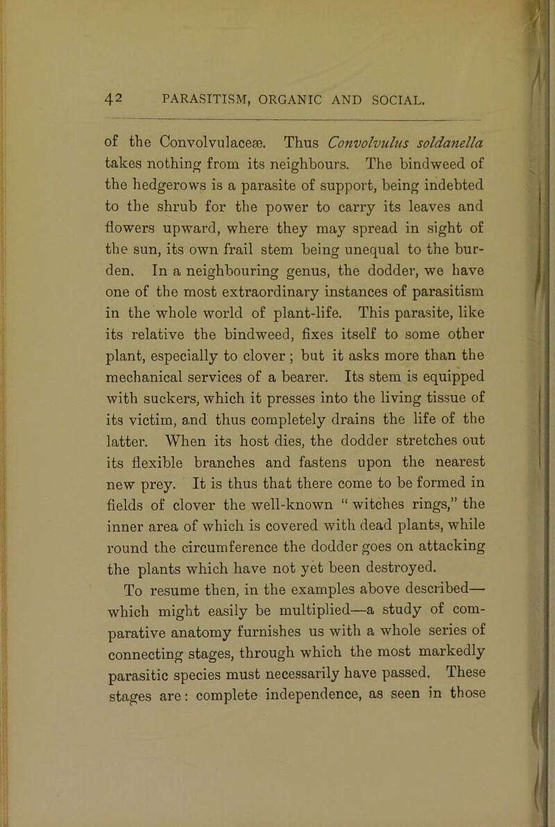 of the Convolvulacese. Thus Convolvulus soldanella takes nothing from its neighbours. The bindweed of the hedgerows is a parasite of support, being indebted to the shrub for the power to carry its leaves and flowers upward, where they may spread in sight of the sun, its own frail stem being unequal to the bur- den. In a neighbouring genus, the dodder, we have one of the most extraordinary instances of parasitism in the whole world of plant-life. This parasite, like its relative the bindweed, fixes itself to some other plant, especially to clover ; but it asks more than the mechanical services of a bearer. Its stem is equipped with suckers, which it presses into the living tissue of its victim, a.nd thus completely drains the life of the latter. When its host dies, the dodder stretches out its flexible branches and fastens upon the nearest new prey. It is thus that there come to be formed in fields of clover the well-known “ witches rings,” the inner area of which is covered with dead plants, while round the circumference the dodder goes on attacking the plants which have not yet been destroyed. To resume then, in the examples above described— which might easily be multiplied—a study of com- parative anatomy furnishes us with a whole series of connecting stages, through which the most markedly pai’asitic species must necessarily have passed. These stages are: complete independence, as seen in those