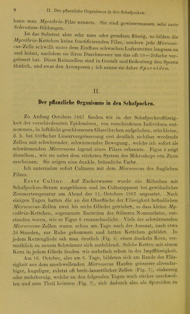 kann man Myco(hrix-Yi\z^ nennen. Sie sind gewissermassen sehr /arte oc/ero^^Mm-Bildungen. Ist das Substrat aber sehr nass oder geradezu flüssig, so bilden die Mycothrtx-Ketichen keine fructificirenden Filze, sondern jede Micrococ- OWÄ-Zelle schwillt unter dem Einfluss schwachen Luftzutrittes langsam an und keimt, nachdem sie ihren Durchmesser um das oft 10—2üfache ver- grössert hat. Diese Keimzellen sind in Gestalt und Bedeutung den Sporen ähnlich, und zwar den Acrosporen ; ich nenne sie daher Sporoiden. II. Der pflanzliche Organismus in den Schafpocken. Zu Anfang Octobers 1867 fanden wir in der Schafpockenflüssig- keit der verschiedensten Epidemieen, von verschiedenen Individuen ent- nommen, in luftdicht geschlossenen Glasröhrchen aufgehoben, sehr kleine, d. h. bei 500facher Linearvergrösserung erst deutlich sichtbar werdende Zellen mit schwivrender, schwärmender Bewegung, welche ich sofort als schwärmenden Micrococcus irgend eines Pilzes erkannte. Figur 4 zeigt dieselben, wie sie unter dem stärksten System des Mikroskops vön Zeiss erscheinen. Sie zeigen eine dunkle, bräunliche Farbe. Ich unternahm sofort Culturen mit dem Micrococcus des fraglichen Pilzes. Erste Cultur. Auf Zuckerwasser wurde ein Röhrcheu mit Schafpocken-Serum ausgeblasen und im Culturapparat bei geAvöhnlicher Zimmertemperatur am Abend des 11. Octobers 1867 angesetzt. Nach einigen Tagen hatten die an der Oberfläche der Flüssigkeit befindlichen Micrococcus-TieWen zwei bis sechs Glieder getrieben, so dass kleine My- cothrix-H.citch.eyi, sogenannte Bacterien der früheren Nomenclatur, ent- standen waren, wie es Figur 6 veranschaulicht. Viele der schwärmenden Micrococcus-Zellen waren schon am Tage nach der Aussaat, nach etwa 20 Stunden, zur Ruhe gekommen und hatten Kettchen gebildet. In jedem Kettengliede sah man deutlich (Fig. 6) einen dunkeln Kern, ver- muthlich zu neuem Schwärmer sich ausbildend. Solche Ketten mit einem Kern in jedem Gliede fanden wir mehrfach schon in der Impfflüssigkeit. Am 16. October, also am 6. Tage, bildeten sich am Rande der Flüs- sigkeit aus dem anschwellenden Micrococcris Haufen grösserer oHvenfar- biger, kugeliger, zuletzt oft breit-lanzettlicher Zellen (Fig. 7), einkernig oder mehrkernig, welche an den folgenden Tagen noch stärker anschwol- len und zum Theil keimten (Fig. 7), sich dadurch also als Sporoiden zu