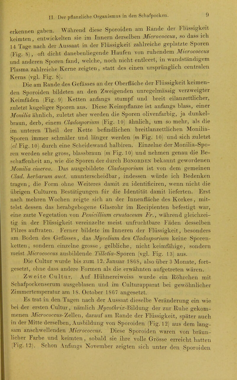 erkennen gaben. Während diese Sporoiden am Rande der Flüssigkeit keimten, entwickelten sie im Innern derselben Micrococcus, so dass ich 14 Tage nach der Aussaat in der Flüssigkeit zahlreiche geplatzte Sporen (Fig. 8), oft dicht danebenliegende Haufen von ruhendem Micrococcus und anderen Sporen fand, welche, noch nicht entleert, in wandständigem Plasma zahlreiche Kerne zeigten, statt des einen ursprünglich centralen Kerns (vgl. Fig. 8). Die am Rande des Gefässes an der Oberfläche der Flüssigkeit keimen- den Sporoiden bildeten an den Zweigenden unregelmässig verzweigter Keimfäden (Fig. 9) Ketten anfangs stumpf und breit eilanzettlicher, zuletzt kugeliger Sporen aus. Diese Keimpflanze ist anfangs blass, einer Monilia ähnlich, zuletzt aber werden die Sporen olivenfarbig, ja dunkel- braun, derb, einem Cladosporium (Fig. 10) ähnlich, um so mehr, als die im unteren Theil der Kette befindlichen breitlanzettlichen Monilia- Sporen immer schmäler und länger werden [m Fig. 10) und sich zuletzt [cl Fig. 10) durch eine Scheidewand halbiren. Einzelne der Monilia-Spo- ren werden sehr gross, blassbraun (m Fig. 10) und nehmen genau die Be- schaffenheit an, vde die Sporen der durch Bonorden bekannt gewordenen Monilia cinerea. Das ausgebildete Cladosporitim ist von dem gemeinen Clad. herharum auct. ununterscheidbar, indessen würde ich l^edenken tragen, die Form ohne Weiteres damit zu identificiren, wenn nicht die übrigen Culturen Bestätigungen für die Identität damit lieferten. Erst nach mehren Wochen zeigte sich an der Innenfläche des Korkes, mit- telst dessen das herabgebogene Glasrohr im Recipienten befestigt war, eine zarte Vegetation von Penicillium crustacetim Fr., während gleichzei- tig in der Flüssigkeit vereinzelte meist unfruchtbare Fäden desselben Pilzes auftraten. Ferner bildete im Inneren der Flüssigkeit, besonders am Boden des Gefässes, das Mycelium des Cladosporium keine Sporen- ketten, sondern einzelne grosse, gelbliche, nicht keimfähige, sondern meist Micrococcus ausbildende TilleiiaSTpoxe-a (vgl. Fig. 13) aus. Die Cultur wurde bis zum 12. Januar 1868, also über 3 Monate, fort- gesetzt, ohne dass andere Formen als die erwähnten aufgetreten wären. Zweite Cultur. Auf Ilühnereiweiss wurde ein Röhrchen mit Schafpockenserum ausgeblasen und im Culturapparat bei gewöhnlicher Zimmertemperatur am 18. October 1867 angesetzt. Es trat in den Tagen nach der Aussaat dieselbe Veränderung ein wie bei der ersten Cultur, nämlich Mycoth7'ix-Bi\d\xng der zur Ruhe gekom- menen Micrococcus-Zellen, darauf am Rande der Flüssigkeit, später auch in der Mitte derselben, Ausbildung von Sporoiden (Fig. 12) aus dem lang- sam anschwellenden Micrococcus. Diese Sporoiden waren von bräun- licher Farbe imd keimten, sobald sie ihre volle Grösse erreicht hatten (Fig. 12). Schon Anzings November zeigten sich unter den Sporoiden