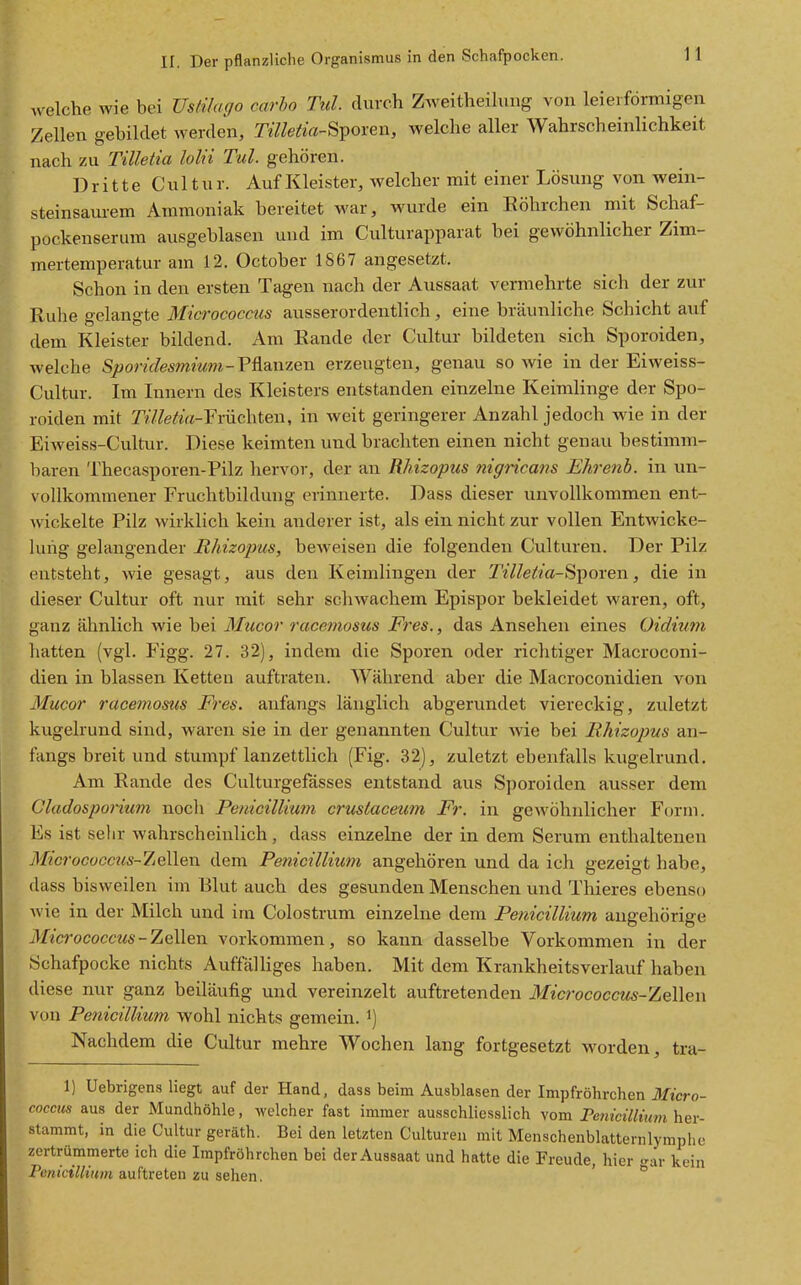 11 welche wie bei Ustilago carbo Tul. durch Zweitheihing von leieiförmigcn Zellen gebildet werden, Tilletia-^V^xen, welche aller Wahrscheinlichkeit nach zu Tilletia lolii Tul. gehören. Dritte C u 11 u r. Auf Kleister, Avelcher mit einer Lösung von wein- steinsaurem Ammoniak bereitet war, wurde ein Köhrchen mit Schaf- pockenserum ausgeblasen und im Culturapparat bei gewöhnlicher Zim- mertemperatur am 12. October 1867 angesetzt. Schon in den ersten Tagen nach der Aussaat vermehrte sich der zur Ruhe gelangte Micrococacs ausserordentlich , eine bräunliche Schicht auf dem Kleister bildend. Am Rande der Cultur bildeten sich Sporoiden, welche Sporiclesmimn-VfLm\ze\\ erzeugten, genau so wie in der Eiweiss- Cultur. Im Innern des Kleisters entstanden einzelne Keimlinge der Spo- roiden mit Tilletia-Yrvic\\ten, in weit geringerer Anzahl jedoch wie in der Eiweiss-Cultur. Diese keimten und brachten einen nicht genau bestimm- baren Thecasporen-Pilz liervor, der an Rhizopus nigncans Ehrenb. in un- vollkommener Fruchtbildung erinnerte. Dass dieser unvollkommen ent- wickelte Pilz wirklich kein anderer ist, als ein nicht zur vollen Entwicke- luiig gelangender Rhizopus, beweisen die folgenden Culturen. Der Pilz entsteht, wie gesagt, aus den Keimlingen der Tilletia-Si^oven, die in dieser Cultur oft nur mit sehr scliwachem Epispor bekleidet waren, oft, ganz ähnlich wie bei Mucor racemosus Fres., das Ansehen eines Oidium liatten (vgl. Figg. 27. 32), indem die Sporen oder richtiger Macroconi- dien in blassen Ketten auftraten. Während aber die Macroconidien von Mucor racemosus Fres. anfangs länglich abgerundet viereckig, zuletzt kugelrund sind, waren sie in der genannten Cultur wie bei Uhizopus an- fangs breit und stumpf lanzettlich (Fig. 32), zuletzt ebenfalls kugelrund. Am Rande des Culturgefässes entstand aus Sporoiden ausser dem Cladosporncm noch PenicilUum crustacmm Fr. in gewöhnlicher Form. Es ist sehr wahrscheinlich , dass einzelne der in dem Serum enthaltenen MicrocoGcus-li^Qxi dem PenicilUum angehören und da ich gezeigt habe, dass bisweilen im Blut auch des gesunden Menschen und Thieres ebenso wie in der Milch und im Colostrum einzelne dem PenicilUum augehörige Micrococctis-Zellen vorkommen, so kann dasselbe Vorkommen in der Schafpocke nichts Auffälliges haben. Mit dem Krankheitsverlauf haben diese nur ganz beiläufig und vereinzelt auftretenden Micrococcm-Zellen von PenicilUum wohl nichts gemein, i) Nachdem die Cultur mehre Wochen lang fortgesetzt worden, tra- 1) Uebrigens liegt auf der Hand, dass beim Ausblasen der Impfröhrchen Ificro- coccus aus der Mundhöhle, welcher fast immer ausschliesslich vom Penicillmm her- stammt, in die Cultur geräth. Bei den letzten Culturen mit Menschenblatternlymphe zertrümmerte ich die Impfröhrchen bei der Aussaat und hatte die Freude, hier -ar kein PenJct'Wixw auftreten zu sehen. ' 