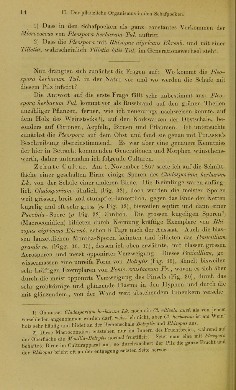 1) Dass in den Schafpocken als ganz constantes Voikomnien der Mid'ococcus von Pleospora herharum Tul. auftritt. 2) Dass die Pleospora mit Rhizopus nujricam Ehrenb. und mit einer Tilletia, Avahrscheinlich Tilletia lolii Tul. im Gcnerationswec;hsel steht. Nun drängten sich zunächst die Fragen auf: Wo kommt die Pleo- spora herharum Tul. in der Natur vor und wo werden die Schafe mit diesem Pilz inficirt? Die Antwort auf die erste Frage fällt sehr unbestimmt aus; Pleo- spora herharum Tul. kommt vor als Russbrand auf den grünen Theilen unzähliger Pflanzen, ferner, Avie ich neuerdings nachweisen konnte, auf dem Holz des Weinstocks ij, auf den Korkwarzen der Obstschale, be- sonders auf Citronen, Aepfeln, Birnen und Pflaumen. Ich untersuchte zunächst die Pleospora auf dem Obst und fand sie genau mit Tulasne's l^eschreibung übereinstimmend. Es Avar aber eine genauere Kenntniss der hier in Betracht kommenden Generationen und Morphen wünschens- Averth, daher unternahm ich folgende Culturen. Zehnte Cultur. Am I.November 1867 säete ich auf die Schnitt- fläche einer geschälten Birne einige Sporen des Claclosporium hei'harum Lk. von der Schale einer anderen Birne. Die Keimlinge waren anfäng- lich Claclosporium-'■&hn\\c\\ (Fig. 32), doch Avurden die meisten Sporen w^eit grössei-, breit und stumpf ei-lanzettlich, gegen das Ende der Ketten kugelig und oft sehr gross (m Fig. 32), bisweilen septirt und dann einer PMccmm-Spore [p. Fig. 32) ähnlich. Die grossen kugeligen Sporen2) (Macroconidien) bildeten durch Keimung kräftige Exemplare von Rhi- zopus nigricans Ehrenh. schon 8 Tage nach der Aussaat. Auch die blas- sen lanzettlichen Monilia-Sporen keimten und bildeten das Penidllium grande m. (Figg. 30. 33), dessen ich oben erwähnte, mit blassen grossen Acrosporen und meist opponirter Verzweigung. Dieses Penicillium, ge- wissermassen eine unreife Form von Botrytis (Fig. 36), ähnelt bisAveilen sehr kräftigen Exemplaren von Penic. crustaceum Fr., Avovon es sich aber durch die meist opponirte Verzweigung des Pinsels (Fig. 30), durch das sehr grobkörnige und glänzende Plasma in den Hyphen und durch die mit glänzendem, von der Wand weit abstehendem Innenkern versehe- 1) Ob ausser Cladosporium herbarum Lk. noch ein Cl. viticola auct. als von jenem verschieden angenommen werden darf, weiss ich nicht, aber Cl. herbarum ist am Wein- holz sebr häuüg und bildet an der Beerenscbale Botrytis und Mizoptis aus. 2) Diese Macroconidien entstehen nur im Innern des Frucbtbreies, während aut der Oberfläche die Monilia-Botrytis normal fructificirt. Setzt man eine Pleospora behaftete Birne im Culturapparat an, so durchwuchert der Pilz die ganze Frucht und der lihizojms bricht oft an der entgegengesetzten Seite hervor.