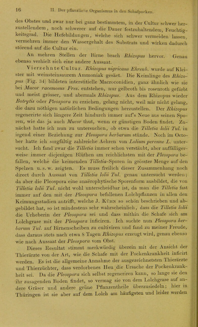 des Obstes und zwiir nur bei ganz bestimmtem, in der Cultur schwer her- zustellendem , noch schwerer auf die Dauer festzuhaltendem, Feuchtig- keitsgrad, Die Hefebildungen, welche sich schwer vermeiden lassen, vermehren immer den Wassergehalt des Substrats und wirken dadurch störend auf die Cultm- ein. An mehren Stellen der Birne brach RMzopus hervor. Genau ebenso verhielt sich eine andere Aussaat. Vierzehnte Cultur. Rhizopus nigricans Ehrenh. wurde auf Klei- ster mit weinsteinsaurem Ammoniak gesäet. Die Keimlinge des Rhizo- pus (Fig. 34) bildeten interstitielle Macroconidien, ganz ähnlich wie sie bei Mucor racemosus Fres. entstehen, nur gelbroth bis rosenroth gefärbt und meist grösser, und abermals Rhizopus. Aus dem Rhizopus wieder Botrytis oder Pleospora zu erziehen, gelang nicht, weil mir nicht gelang, die dazu nöthigen natürlichen Bedingungen herzustellen. Der Rhizopus regenerirte sich längere Zeit hindurch immer aufs Neue aus seinen Spo- ren, wie das ja auch Mucor thut, wenn er günstigen Boden findet. Zu- nächst hatte ich. nun zu untersuchen, ob etwa die Tilletia lolii Tul. in irgend einer Beziehung zur Pleospora herbarum stünde. Noch im Octo- ber hatte ich sorgfältig zahlreiche Aehren Yon Lolium perenne L. unter- sucht. Ich fand zwar die Tilletia immer schon verstäubt, aber auffälliger- weise immer diejenigen Blüthen am reichlichsten mit der Pleospora be- fallen, welche die keimenden TeY/e^m-Sporen in grösster Menge auf den Spelzen u. s. w. zeigten. Es muss freilich dieser Zusammenhang noch direct durch Aussaat von Tilletia lolii Tul. genau untersucht werden; da aber die Pleospora eine anaerophytische Sporenform ausbildet, die von Tilletia lolii Tul. nicht wohl unterscheidbar ist, da man die Tilletia fast immer auf den mit der Pleospora befallenen Lolchpflanzen in allen den Keimungsstadien antrifft, welche J. Kühn so schön beschrieben und ab- gebildet hat, so ist mindestens sehr wahrscheinlich, dass die Tilletia lolii die Urheberin der Pleospora sei und dass mithin die Schafe sich am Lolchgrase mit der Pleospora inficiren. Ich suchte nun Pleospora her- barum Tul. auf Birnenscheiben zu cultiviren und fand zu meiner Freude, dass daraus stets nach etwa 8 Tagen Rhizopus erzeugt Avird, genau ebenso wie nach Aussaat der Pleospora vom Obst. Dieses Restiltat stimmt merkwürdig überein mit der Ansicht der Thierärzte von der Art, wie die Schafe mit der Pockenkrankheit inficirt werden. Es ist die allgemeine Annahme der ausgezeichnetsten Thierärzte und Thierzüchter, dass verdorbenes Heu die Ursache der Pockenkrank- heit sei. Da die Pleospora sich selbst regeneriren kann, so lange sie den ihr zusagenden Boden findet, so vermag sie von dem Lolchgrase auf an- dere Gräser und andere grüne Pfianzentheile überzusiedeln; hier in Thüringen ist sie aber auf dem Lolch am häufigsten und leider werden