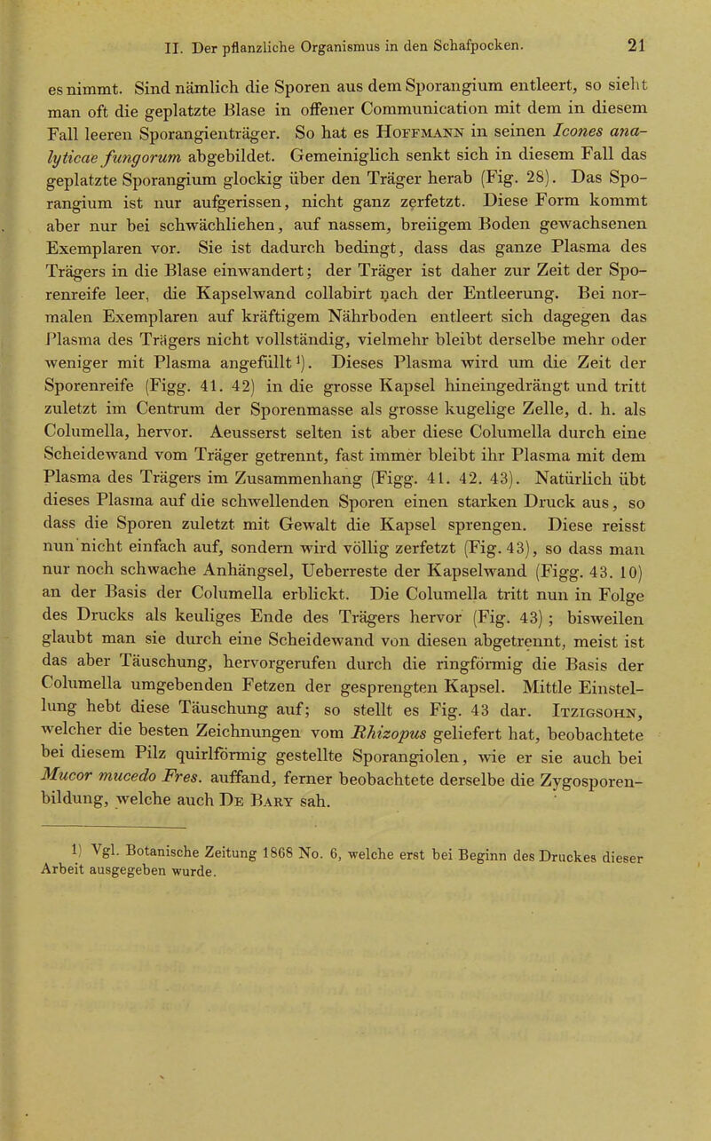 es nimmt. Sind nämlich die Sporen aus dem Sporangium entleert, so sielit man oft die geplatzte Blase in offener Communication mit dem in diesem Fall leeren Sporangienträger. So hat es Hoffmann in seinen Icones ana- lyticae futigorum abgebildet. Gemeiniglich senkt sich in diesem Fall das geplatzte Sporangium glockig über den Träger herab (Fig. 28). Das Spo- rangium ist nur aufgerissen, nicht ganz zerfetzt. Diese Form kommt aber nur bei schwächliehen, auf nassem, breiigem Boden gewachsenen Exemplaren vor. Sie ist dadurch bedingt, dass das ganze Plasma des Trägers in die Blase einwandert; der Träger ist daher zur Zeit der Spo- renreife leer, die Kapselwand collabirt nach der Entleerung. Bei nor- malen Exemplaren auf kräftigem Nährboden entleert sich dagegen das Plasma des Trägers nicht vollständig, vielmehr bleibt derselbe mehr oder weniger mit Plasma angefüllt . Dieses Plasma wird um die Zeit der Sporenreife (Figg. 41. 42) in die grosse Kapsel hineingedrängt und tritt zuletzt im Centrum der Sporenmasse als grosse kugelige Zelle, d. h. als Columella, hervor. Aeusserst selten ist aber diese Columella durch eine Scheidewand vom Träger getrennt, fast immer bleibt ihr Plasma mit dem Plasma des Trägers im Zusammenhang (Figg. 41. 42. 43). Natürlich übt dieses Plasma auf die schwellenden Sporen einen starken Druck aus, so dass die Sporen zuletzt mit Gewalt die Kapsel sprengen. Diese reisst nun nicht einfach auf, sondern wird völlig zerfetzt (Fig. 43), so dass man nur noch schwache Anhängsel, Ueberreste der Kapselwand (Figg. 43. 10) an der Basis der Columella erblickt. Die Columella tritt nun in Folge des Drucks als keuliges Ende des Trägers hervor (Fig. 43) ; bisweilen glaubt man sie durch eine Scheidewand von diesen abgetrennt, meist ist das aber Täuschung, hervorgerufen durch die ringfönnig die Basis der Columella umgebenden Fetzen der gesprengten Kapsel. Mittle Einstel- lung hebt diese Täuschung auf; so stellt es Fig. 43 dar. Itzigsohn, welcher die besten Zeichnungen vom RMzopus geliefert hat, beobachtete bei diesem Pilz quirlförmig gestellte Sporangiolen, wie er sie auch bei Mucor mucedo Pres, auffand, ferner beobachtete derselbe die Zygosporen- bildung, welche auch De Bary sah. 1) Vgl. Botanische Zeitung 1868 No. 6, welche erst bei Beginn des Druckes di Arbeit ausgegeben wurde.