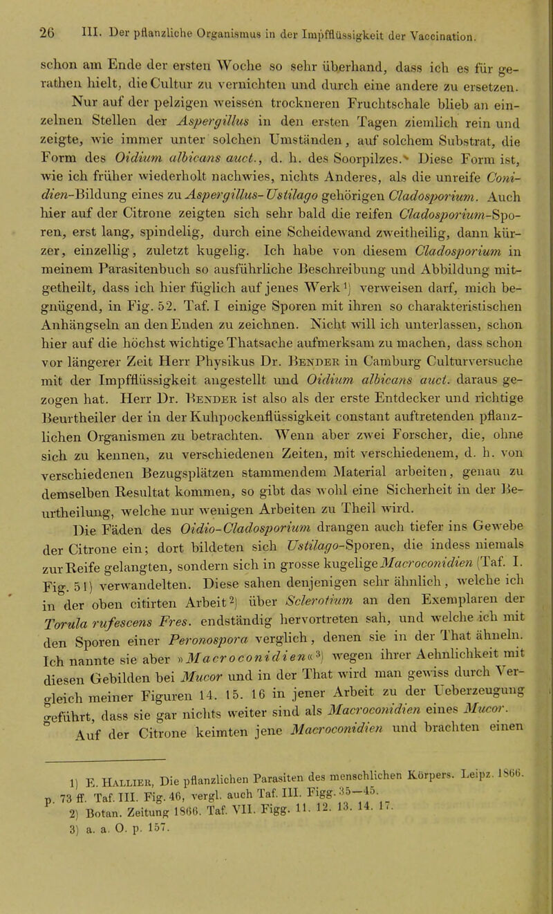 schon am Ende der ersten Woche so sehr üherhand, dass ich es für ge- riithen hielt, dieCultur zu vernichten und durch eine andere zu ersetzen. Nur auf der pelzigen weissen trockneren Fruchtschale hlieb an ein- zelnen Stellen der Asperffillus in den ersten Tagen ziemlich rein und zeigte, wie immer unter solchen Umständen, auf solchem Substrat, die Form des Oidmm albicans auct., d. h. des Soorpilzes.^ Diese Form ist, wie ich früher wiederholt nachwies, nichts Anderes, als die unreife Coni- c?2ew-Bildung eines zu Aspergillus- Usiilago gehörigen Cladosporium. Auch hier auf der Citrone zeigten sich sehr bald die reifen Cladosporiu7)i-^i^o- ren, erst lang, spindelig, durch eine Scheidewand zweitheilig, dann kür- zer, einzellig, zuletzt kugelig. Ich habe von diesem Cladosporium in meinem Parasitenbuch so ausführliche Beschreibung und Abbildung mit- getheilt, dass ich hier füglich auf jenes Werk verweisen darf, mich be- gnügend, in Fig. 52. Taf. I einige Sporen mit ihren so charakteristischen Anhängseln an den Enden zu zeichnen. Nicht Avill ich unterlassen, schon hier auf die höchst wichtige Thatsache aufmerksam zu machen, dass schon vor längerer Zeit Herr Physikus Dr. Bender in Camburg Culturversuche mit der Impfflüssigkeit angestellt und Oidium albicans auct. daraus ge- zogen hat. Herr Dr. Bender ist also als der erste Entdecker und richtige Beurtheiler der in der Kuhpockenflüssigkeit constant auftretenden pflanz- lichen Organismen zu betrachten. Wenn aber zwei Forscher, die, ohne sich zu kennen, zu verschiedenen Zeiten, mit verscliiedenem, d. h. von verschiedenen Bezugsplätzen stammendem Material arbeiten, genau zu demselben Resultat kommen, so gibt das avoIiI eine Sicherheit in der Be- urtheilung, welche nur wenigen Arbeiten zu Theil wird. Die Fäden des Oidio-Cladosporimn drangen auch tiefer ins Gewebe der Citrone ein; dort bildeten sich Ustilago-^i^oxen, die indess niemals zur Reife gelangten, sondern sich in grosse ^ugeM^QMacroeonidien (Taf. I. Fig. 51) verwandelten. Diese sahen denjenigen sehr ähnlich, welche ich in der oben citirten Arbeit 2) über Sclerotium an den Exemplaren der T(yrula rufescens Pres, endständig hervortreten sah, und welche ich mit den Sporen einer Pero?iospora verglich, denen sie in der That ähneln. Ich nannte sie aber ^^Macroconidiemrii wegen ihrer Aehnlichkeit mit diesen Gebilden bei 3hicor und in der That wird man gewiss durch Ver- gleich meiner Figuren 14. 15. 16 in jener Arbeit zu der Ueberzeugung geführt, dass sie gar nichts weiter sind als 3Iacrocomdien eines iMucor. Auf der Citrone keimten jene Macroconidien und brachten einen 1) E Hallier, Die pflanzlichen Parasiten des menschlichen Körpers. Le.pz. ISbb. 73 fF. Taf. III. Fig. 46, vergl. auch Taf. III. Figg. :i5-45. _ 2) Botan. Zeitung ISliO. Taf. VII. Figg. 11. 12. 13. 14. 1-. 3) a. a. 0. p. 15.