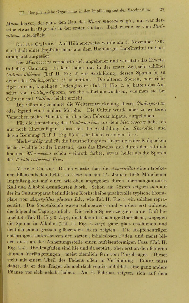 Mncor hervor, der ganz den ]3au des Mucor mucedo zeigte, nur war der- selbe etwas kräftiger als in der ersten Cultur. Bald wurde er vom Fem- eillnim unterdrückt. Dritte Cultur. Auf Hühnereiweiss wurde am 3. November 1867 der Inhalt eines Impfröhrcliens aus dem Hamburger Impfinstitut im Cul- turapparat ausgesäet. Der Micrococcus vermehrte sich ungeheuer und versetzte das Eiweiss in heftige Gährung. Es kam daher nur in der ersten Zeit sehr schönes Oidium albicans (Taf. II. Fig. 2) zur Ausbildung, dessen Sporen (o) zu denen des Cladosporium [cl] ausreiften. Die älteren Sporen, oder rich- tiger kurzen, kugehgen Fadenglieder (Taf. II. Fig. 2. u) hatten das An- sehen von ^75^;^■%o-Sporen, welche sofort auswuchsen, wie man sie bei Culturen mit Ustilago leicht erzieht. Die Gährung hemmte die Weiterentwickelung dieses Cladosporium oder irgend einer andern Morph e. Die Cultur wurde aber zu w^eiteren Versuchen mehre Monate, bis über den Februar hinaus, aufgehoben. Für die Entstehung des Cladosporium aus dem Micrococcus habe ich nur noch hinzuzufügen, dass sich die Ausbildung der Sporoiden und deren Keimung (Taf. I. Fig. 5 3 ^1 sehr leicht verfolgen Hess. Merkwürdig und für die Keurtheilung des Ursprunges der Kuhpocken höchst wichtig ist der Umstand, dass das Eiw^eiss sich durch den röthlich braunen Micrococcus schön weinroth färbte, etwas heller als die Sporen der Torida rufescens Fr es. Vierte Cultur. Da ich wusste, dass der Aspergillus einen trocke- nen Pflanzenboden liebt, so säete ich am 15. Januar 1868 Müncheuer Impfflüssigkeit auf einen wie oben angegeben durch übermangansaures Kali und Alkohol desinficirten Kork. Schon am 22sten zeigten sich auf der im Culturapparat befindlichen Korkscheibe prachtvolle typische Exem- plare von Aspergillus glaucus Lk., ^y\Q Taf. II. Fig. 3 ein solches reprä- sentirt. Die Sporenköpfe waren schneeweiss und wurden erst während der folgenden Tage grünlich. Die reifen Sporen zeigten, unter Luft be- trachtet (Taf. II. Fig. 3. Is})), die bekannte stachlige Oberfläche, wogegen die Sporen in Alkohol (Taf. II. Fig. 3. asji] ganz glatt erschienen und deutlich einen grossen glänzenden Kern zeigten. Die Köpfchenträger entspringen senkrecht von den zarten, inhaltslosen Fäden und meist bil- den diese an der Anheftungsstelle einen hufeisenförmigen Fuss (Taf. IL Fig. 3. sl. Die Tragfäden sind hie und da septirt, aber erst an den feineren dünnen Verlängerungen, meist ziemlich fem vom Pinselträger. Dieser steht mit einem Theil des Fadens ofi'en in Verbindung. Corda muss ■daher, da er den Träger als mehrfach septirt abbildet, eine ganz andere Pflanze vor sich gehabt haben. Am 6. Februar zeigten sich auf dem