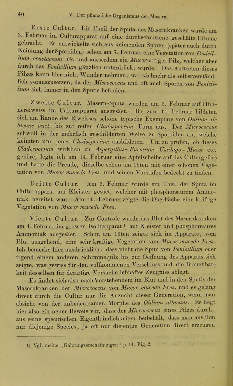 Erste Cultur. Ein Theil der Sputa des Masernkranken wurde am 3. Februar im Culturapparat auf eine durchschnittene geschälte Citrone gebracht. Es entwickelte sich aus keimenden Sporen (später auch durch Keimung der Sporoiden) schon am 7. Februar eine Vegetation von Pema7- lium crustaceum Fr. und ausserdem ein it/wcor-artiger Pilz, welcher aber durch das Penicillium gänzlich unterdrückt wurde. Das Auftreten dieses Pilzes kann hier nicht Wunder nehmen, war vielmehr als selbstverständ- lich vorauszusetzen, da der Micrococcus und oft auch Sporen von Penicil- lium sich immer in den Sputis befinden. Zweite Cultur. Masern-Sputa wurden am 3. Februar auf Hüh- nereiweiss im Culturapparat ausgesäet.- Bis zum 14. Februar bildeten sich am Rande des Eiweisses schöne typische Exemplare von Oidium al- bicans auct. bis zur reifen Cladosporium-Form aus. Der Micrococcus schwoll in der mehrfach geschilderten Weise zu Sporoiden an, welche keimten und jenes Cladosporium ausbildeten. Um zu prüfen, ob dieses Cladosporium wirklich zu Aspergillus-Eurotium-Ustilago - Mucor etc. gehöre, legte ich am 14. Februar eine Apfelscheibe auf das Culturgefäss und hatte die Freude, dieselbe schon am 18ten mit einer schönen Vege- tation von Mucor mucedo Pres, und seinen Vorstufen bedeckt zu finden. Dritte Cultur. Am 3. Februar wurde ein Theil der Sputa im Culturapparat auf Kleister gesäet, welcher mit phosphorsaurem Ammo- niak bereitet war. Am 10. Februar zeigte die Oberfläche eine kräftige Vegetation von Mucor mucedo Pres. Vierte Cultur. Zur Controle wurde das Blut des Masernkranken am 4. Februar im grossen Isolirapparat ^] auf Kleister und phosphorsaures Ammoniak ausgesäet. Schon am lOten zeigte sich im Apparate, vom Blut ausgehend, eine sehr kräftige Vegetation von Mucor mucedo Pres. Ich bemerke hier ausdrücklich, dass nicht die Spur von Penicillium oder irgend einem anderen Schimmelpilz bis zur Oeffnung des Apparats sich zeigte, was gewdss für den vollkommenen Verschluss und die Brauchbar- keit desselben für derartige Versuche lebhaftes Zeugniss ablegt. Es findet sich also nach Vorstehendem im Blut und in den Sputis der Masernkranken der Micrococcus von Mucor mucedo Pres, und es gelang direct durch die Cultur nur die Anzucht dieser Generation, wenn man absieht von der unbedeutsamen Morphe des Oidium albicans. Es liegt hier also ein neuer Beweis vor, dass der Micrococcus eines Pilzes durch- aus seine specifischen Eigenthümlichkeiten beibehält, dass man aus ihm nur diejenige Speeles, ja oft nur diejenige Generation direct erzeugen 1) Vgl. meine „Gährungserscheinungen p. 14. Fig. 2.