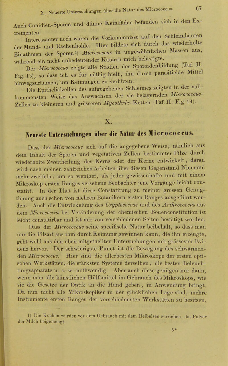 Auch Conidien-Sporen vmd dünne Keimfäden befanden sich in den Ex- 'TL'ressanter noch waren die Vorkommnisse auf den Schleimhäuten der Mund- und Kachenhöhle. Hier bildete sich durch das wiederholte Einathmen der Sporen i) Micrococcus in ungewöhnlichen Massen aus, während ein nicht unbedeutender Katarrh mich belästigte Der Micrococcus zeigte alle Stadien der Sporoidenbildung (iat. 11. Fig. 13), so dass ich es für nöthig hielt, ihn durch parasiticide Mittel hinwegzuräumen, um Keimungen zu verhüten. Die Epithelialzellen des aufgegebenen Schleimeß zeigten m der voll- kommensten Weise das Auswachsen der sie belagernden Micrococcus- Zellen zu kleineren und grösseren Mycothrix-Ke,iie-a. (Taf II. Fig 14). taeste lliitersuclinngeii über die Natur des Micrococcus. Dass der Micrococcus sich auf die angegebene Weise, nämlich aus dem Inhalt der Sporen und vegetativen Zellen bestimmter Pilze durch wiederholte Zweitheilung des Kerns oder der Kerne entwickelt, daran wird nach meinen zahlreichen Arbeiten über diesen Gegenstand Niemand mehr zweifeln; um so weniger, als jeder gewissenhafte und mit einem Mikroskop ersten Ranges versehene Beobachter jene Vorgänge leicht con- statirt. In der That ist diese Constatirung zu meiner grossen Genug- thuung auch schon von mehren Botanikern ersten Ranges ausgeführt Avor- den. Auch die Entwicklung des Cryptococcus und des Ärihrococcus aus dem Micrococcus bei Veränderung der chemischen Bodenconstitution ist leicht constatirbar und ist mir von verschiedenen Seiten bestätigt worden. Dass der Micrococcus seine specifische Natur beibehält, so dass man nur die Pilzart aus ihm durch Keimung gewinnen kann, die ihn erzeugte, geht wohl aus den oben mitgetheilten Untersuchungen mit grossester Evi- denz hervor. Der schwierigste Punct ist die Bewegung des schwärmen- den Micrococcus. Hier sind die allerbesten Mikroskope der ersten opti- schen Werkstätten, die stärksten Systeme derselben, die besten Beleuch- tungsapparate u. s. w. nothwendig. Aber auch diese genügen nur dann, wenn man alle künstlichen Hülfsmittel im Gebrauch des Mikroskops, wie sie die Gesetze der Optik an die Hand geben, in Anwendung bringt. Da nun nicht alle Mikroskopiker in der glücklichen Lage sind, mehre Instrumente ersten Ranges der verschiedensten Werkstätten zu besitzen. 1) Die Kuchen wurden vor dem Gebrauch mit dem Reibeisen zerrieben, das Pulver der Milch beigemengt. 5*